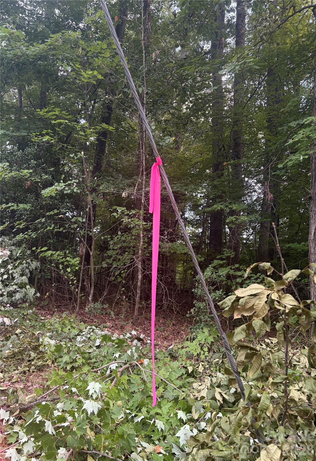 Lot 5 Edgewood Road