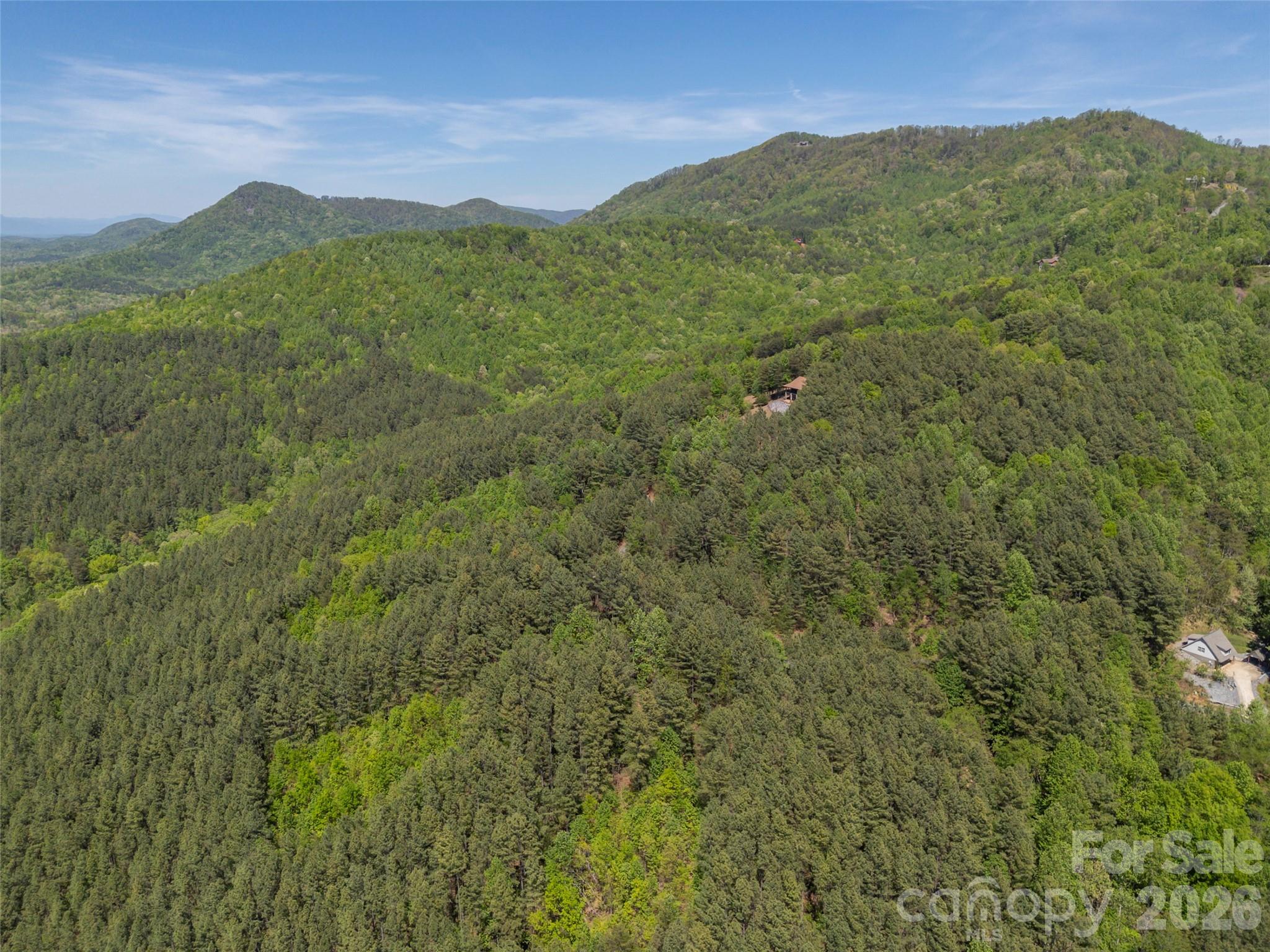 Yellowtop Mountain Estates - Land