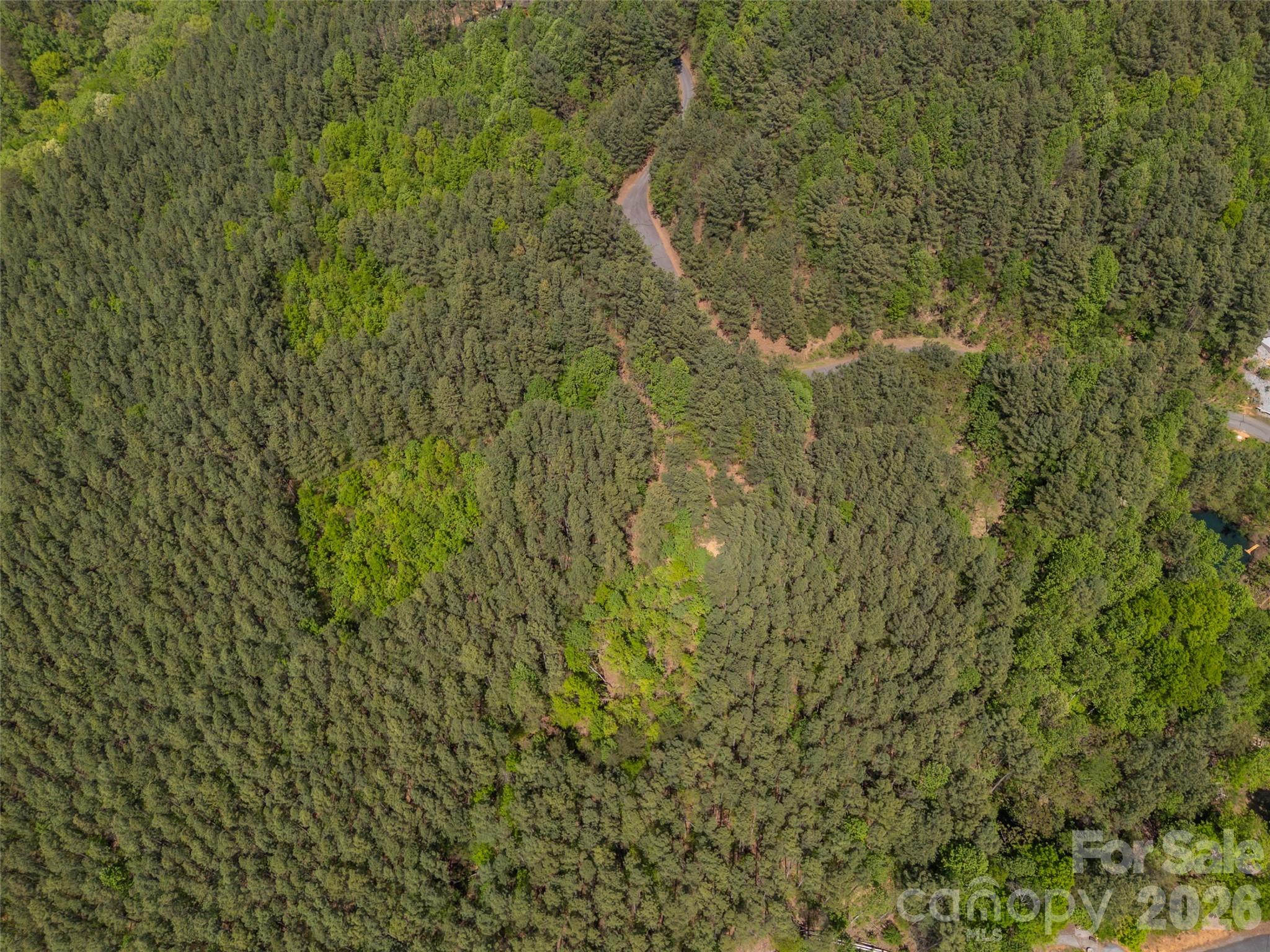 Yellowtop Mountain Estates - Land