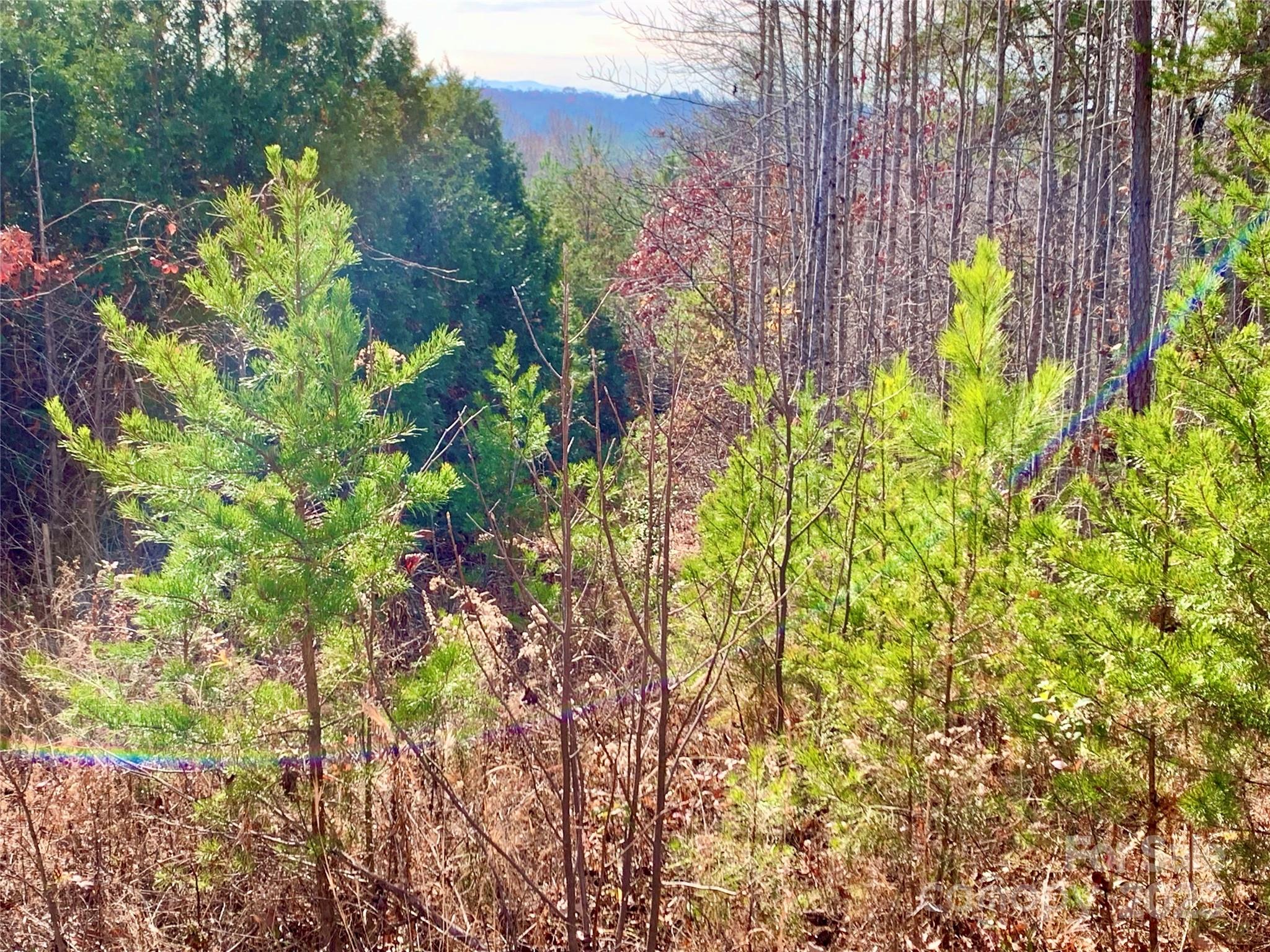 The Coves Mountain River Club - Land