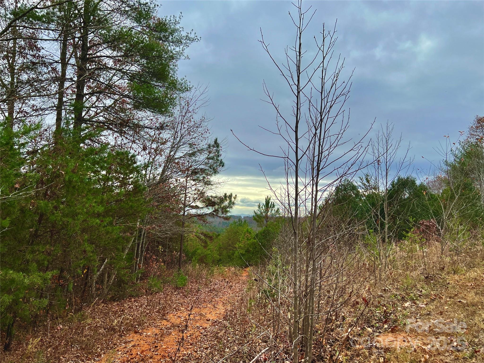 The Coves Mountain River Club - Land