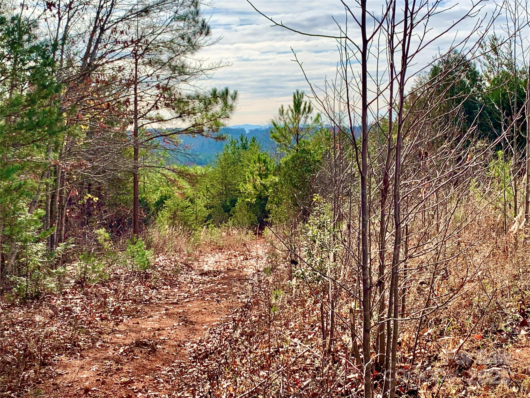 2.53 acres, Lot 602 Low Valley Way 602