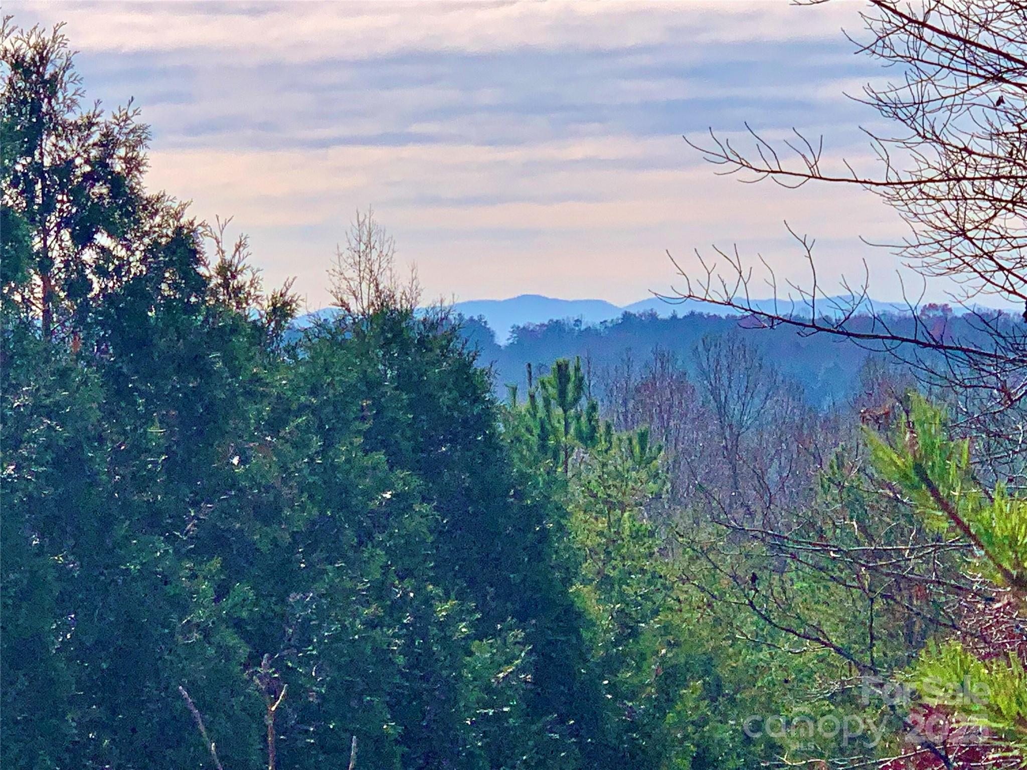 The Coves Mountain River Club - Land