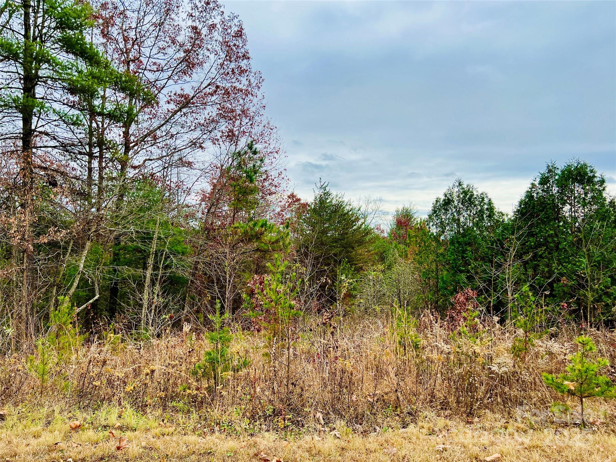 The Coves Mountain River Club - Land