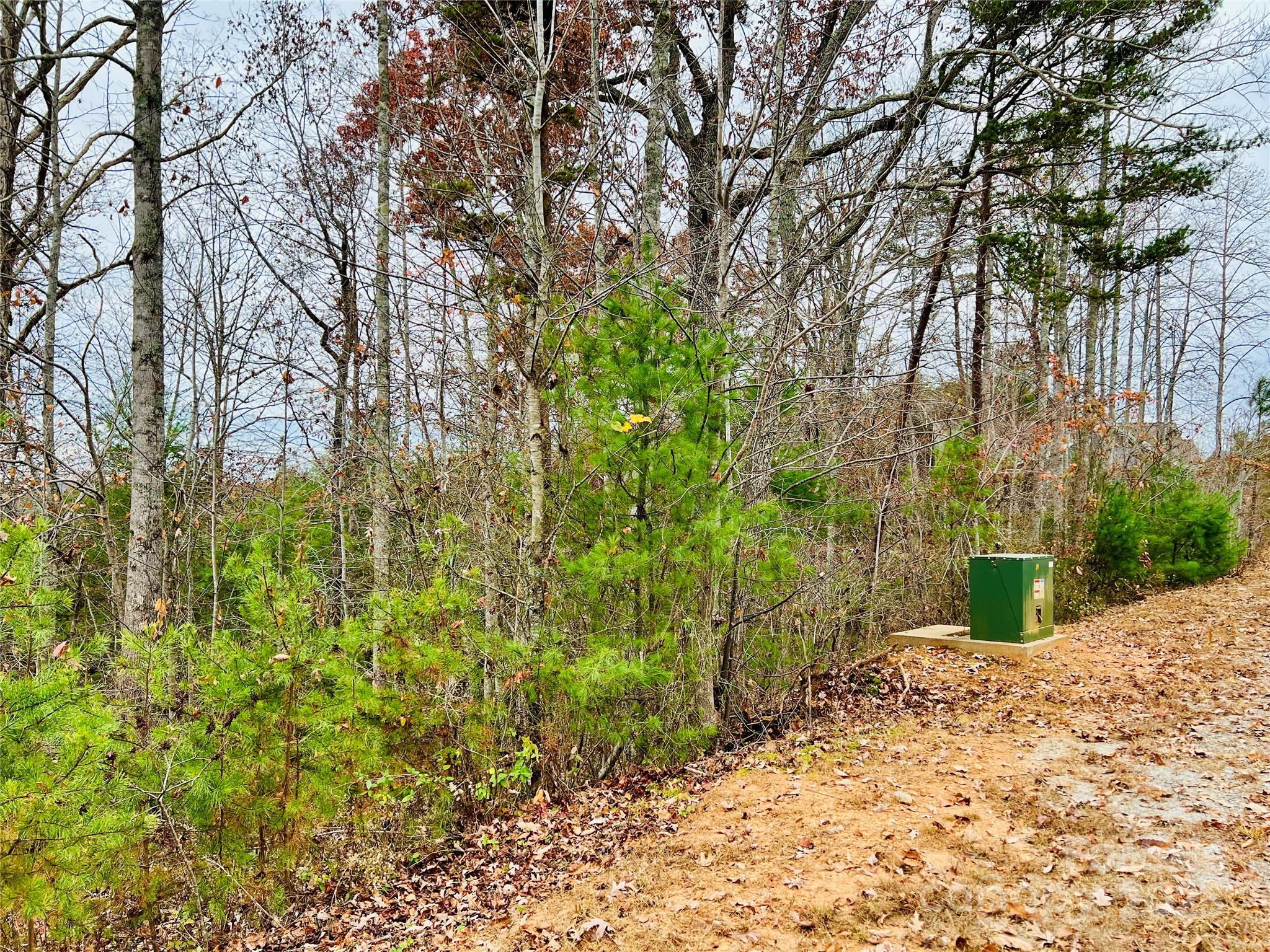 The Coves Mountain River Club - Land