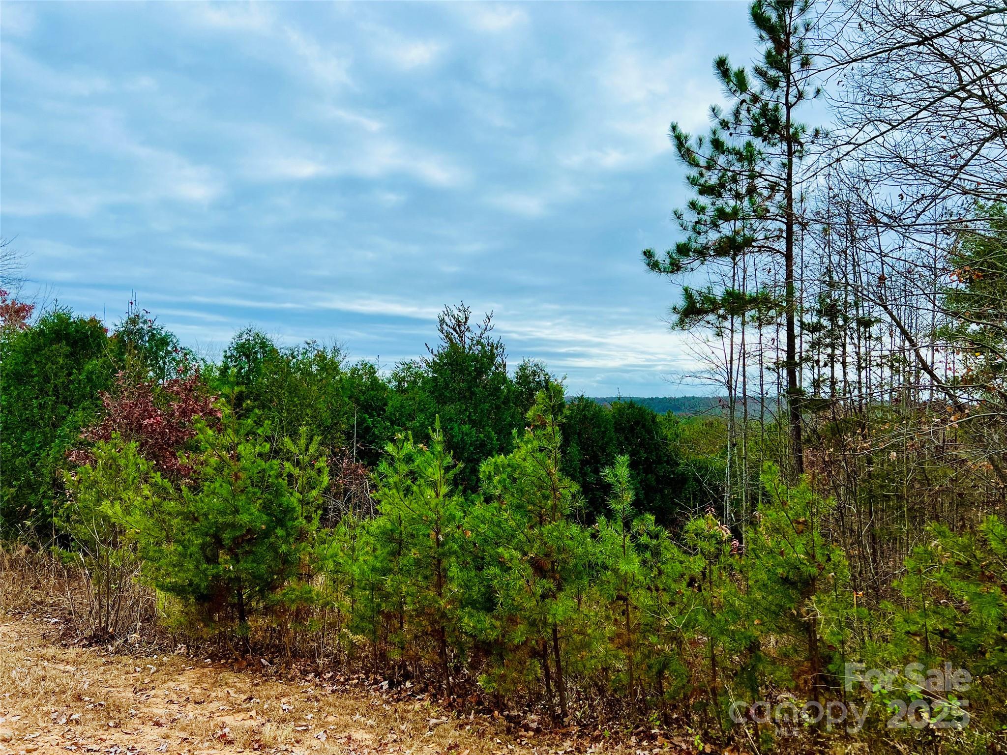 The Coves Mountain River Club - Land