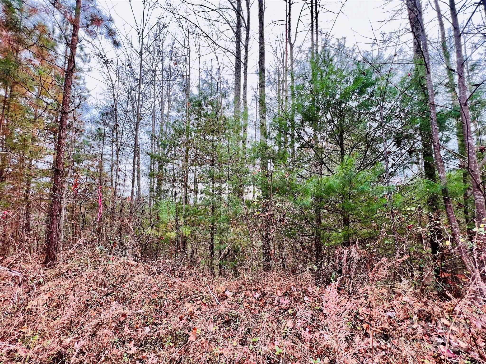 The Coves Mountain River Club - Land