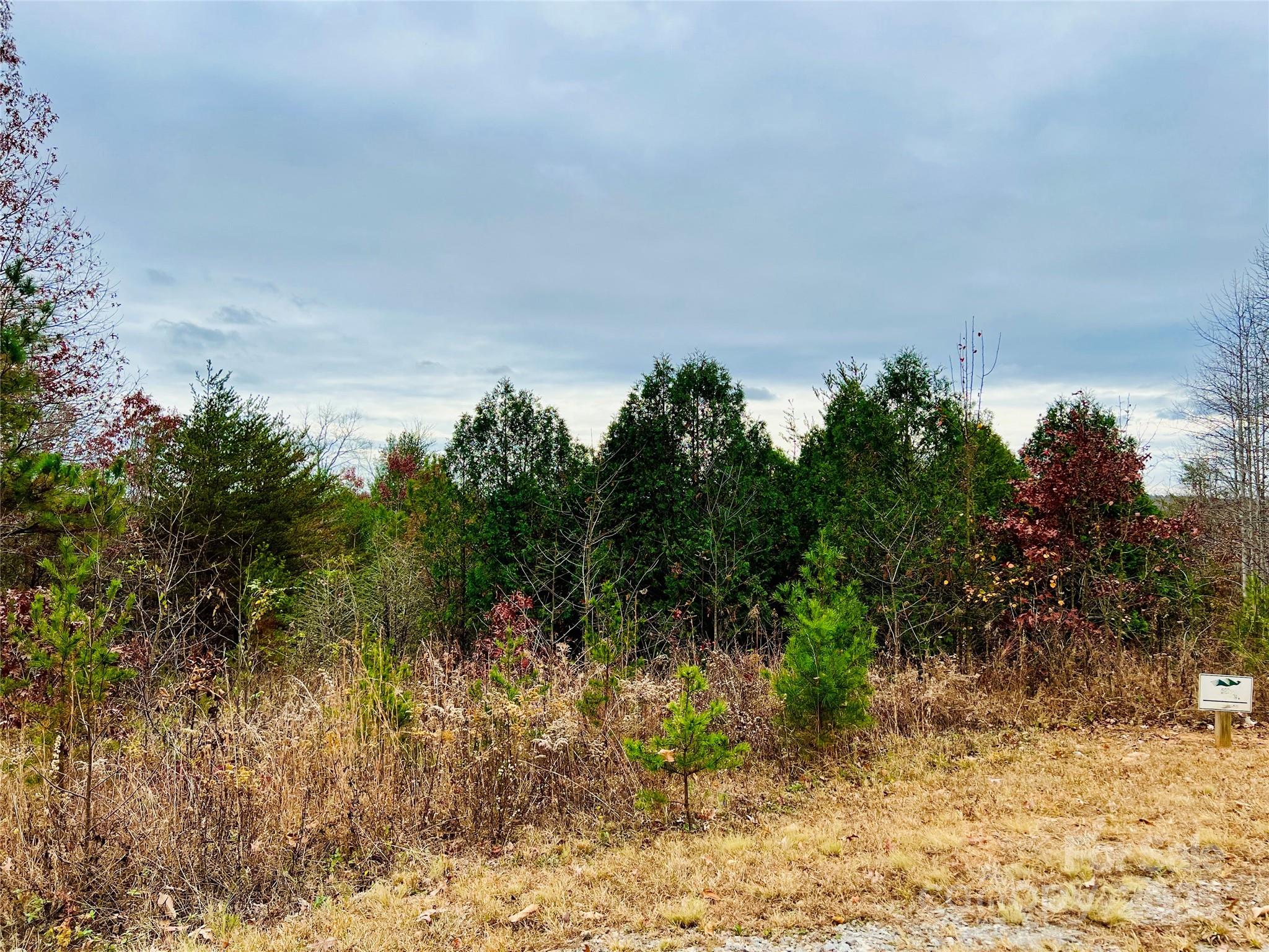 The Coves Mountain River Club - Land