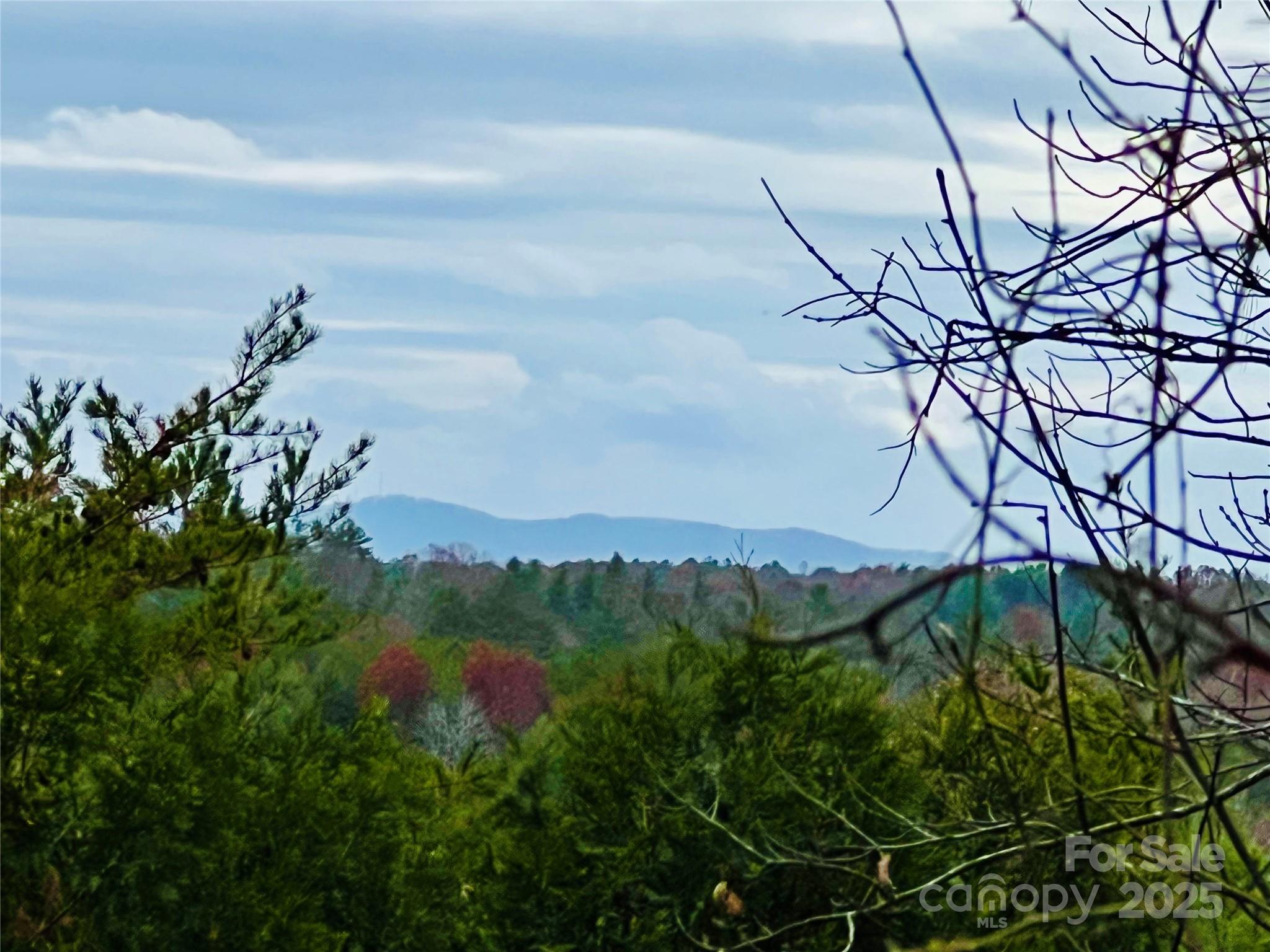 The Coves Mountain River Club - Land