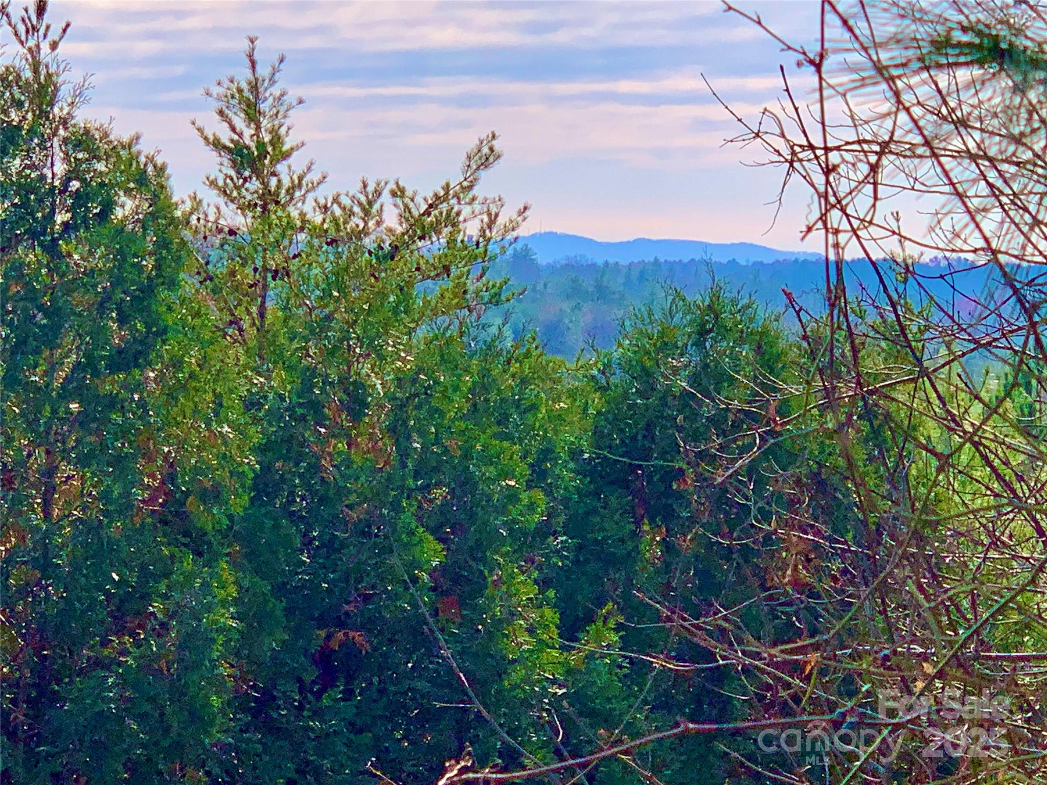 2.53 acres, Lot 602 Low Valley Way 602