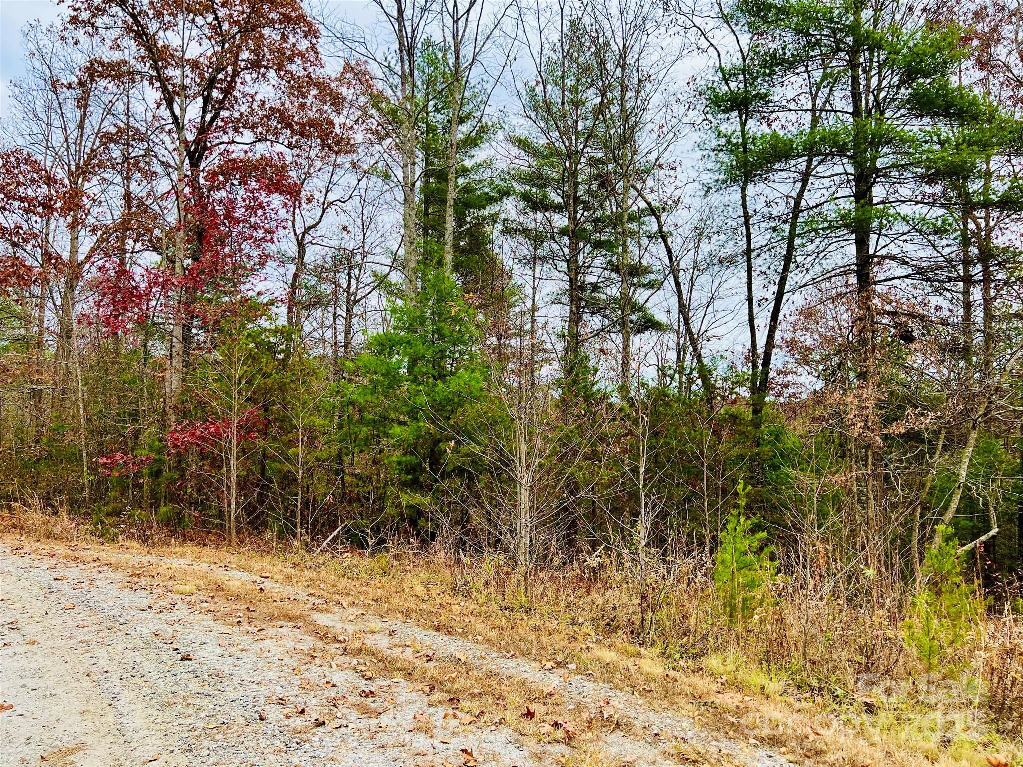 The Coves Mountain River Club - Land