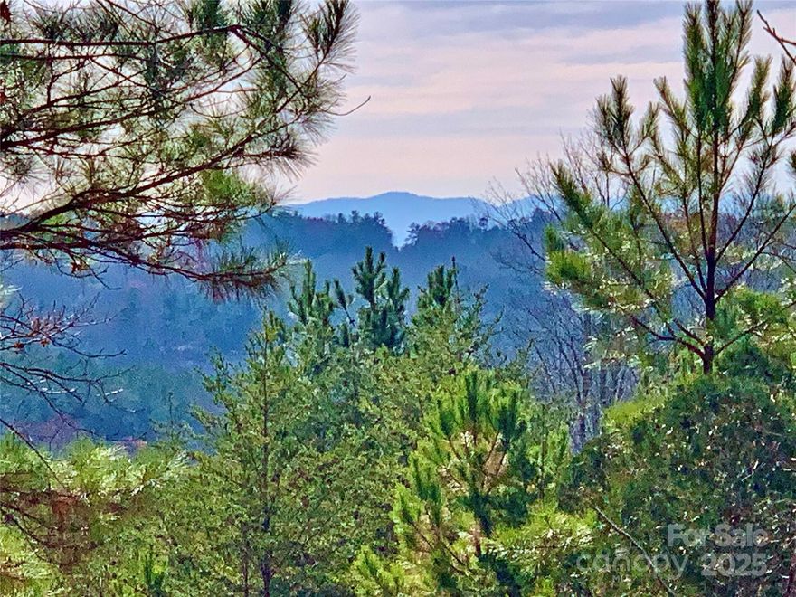 Beautiful South Mountain views are the perfect backdrop for your mountain home. Lot 602 is 2.5 acres with a level build site. Large, mature oaks, maples and other hard wood trees.  Located on a side street, affording privacy. Expired 3 BR septic permit. Utilities are buried at the street. Located at The Coves Mountain River Club, the premier Outdoor Living Community in the SouthEast.  Hike, bike, ride horses or UTVs past mountain overlooks and glorious waterfalls and streams. There are 5 miles of Johns River, on site, to kayak, fish. 6,000 sq ft post and beam clubhouse located on one of the highest peaks, Flint Ridge, a hub of activity, in the center of the community. Enjoy the pool, fitness center, locker rooms, kitchen, 3-sided fireplace, porches, viewing decks, outdoor fire rings and more. The sunsets are breathtaking and magnificent. Additional amenities include 2 Equestrian Centers, a community vineyard and garden, pickleball courts, putting green, picnic pavilions and dog park.