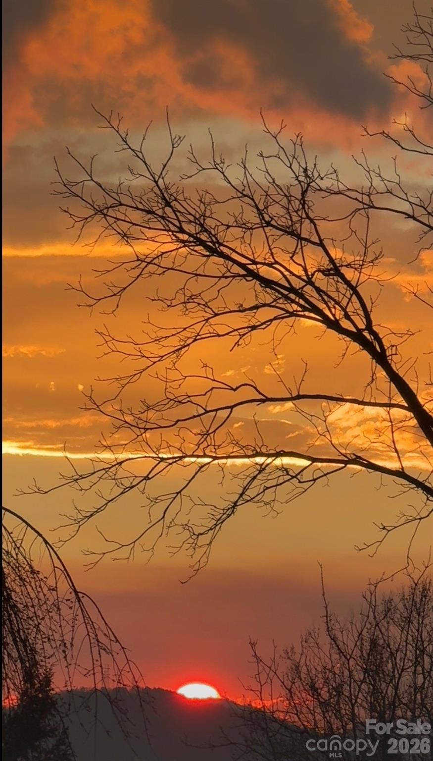 Proximity Park - Residential