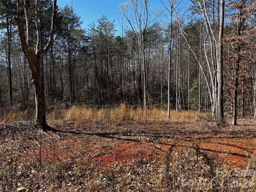 Tranquil Wooded Acreage, Build Opportunity - Approximately one acre of wooded acreage offering a serene and natural landscape. This peaceful setting features ample natural light, a serene landscape, and abundant vegetation throughout the lush, wooded lot. Mature trees, a flowing stream, and a relatively flat buildable area create a tranquil, natural environment.