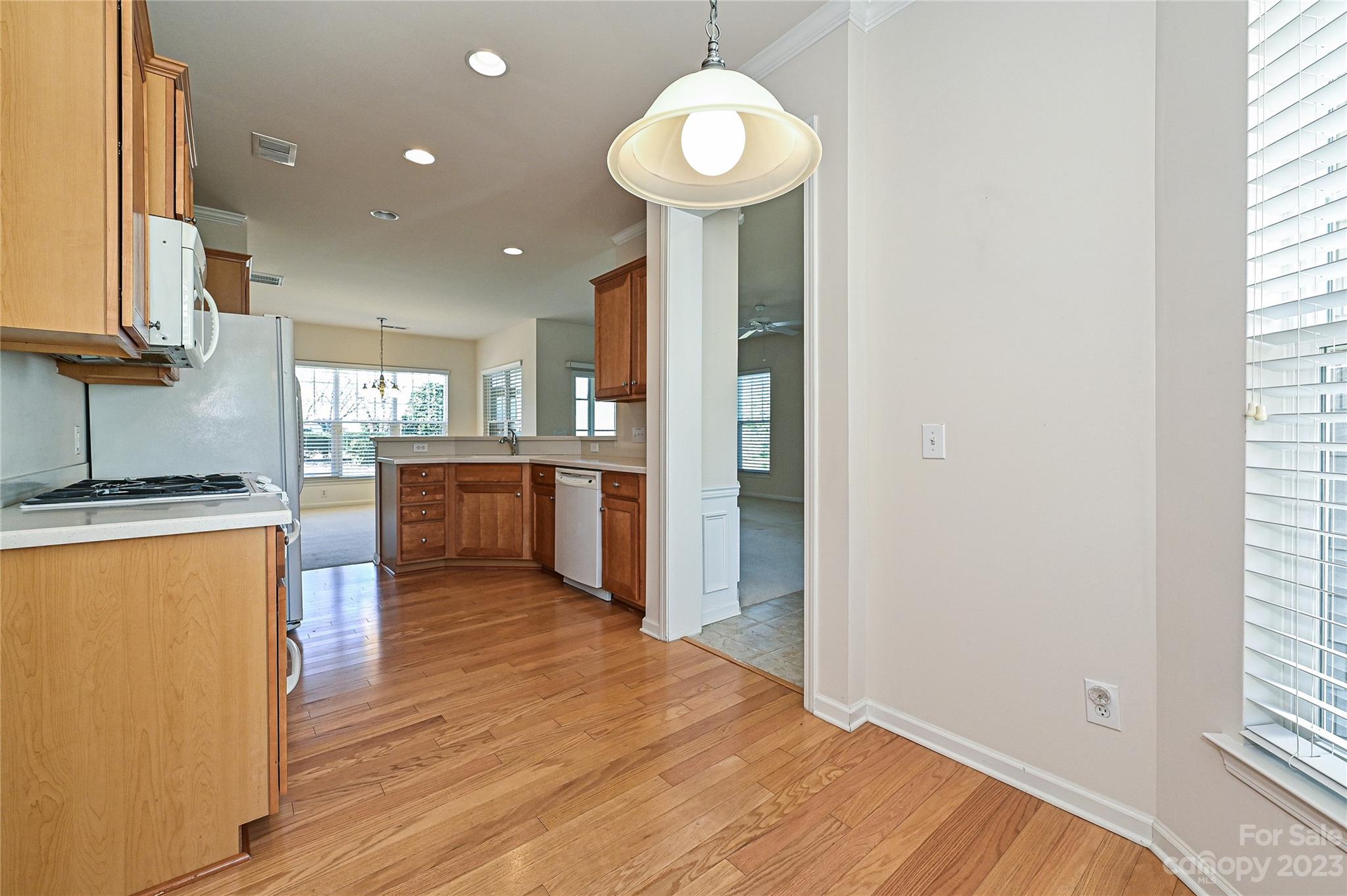 Sun City Carolina Lakes - Residential