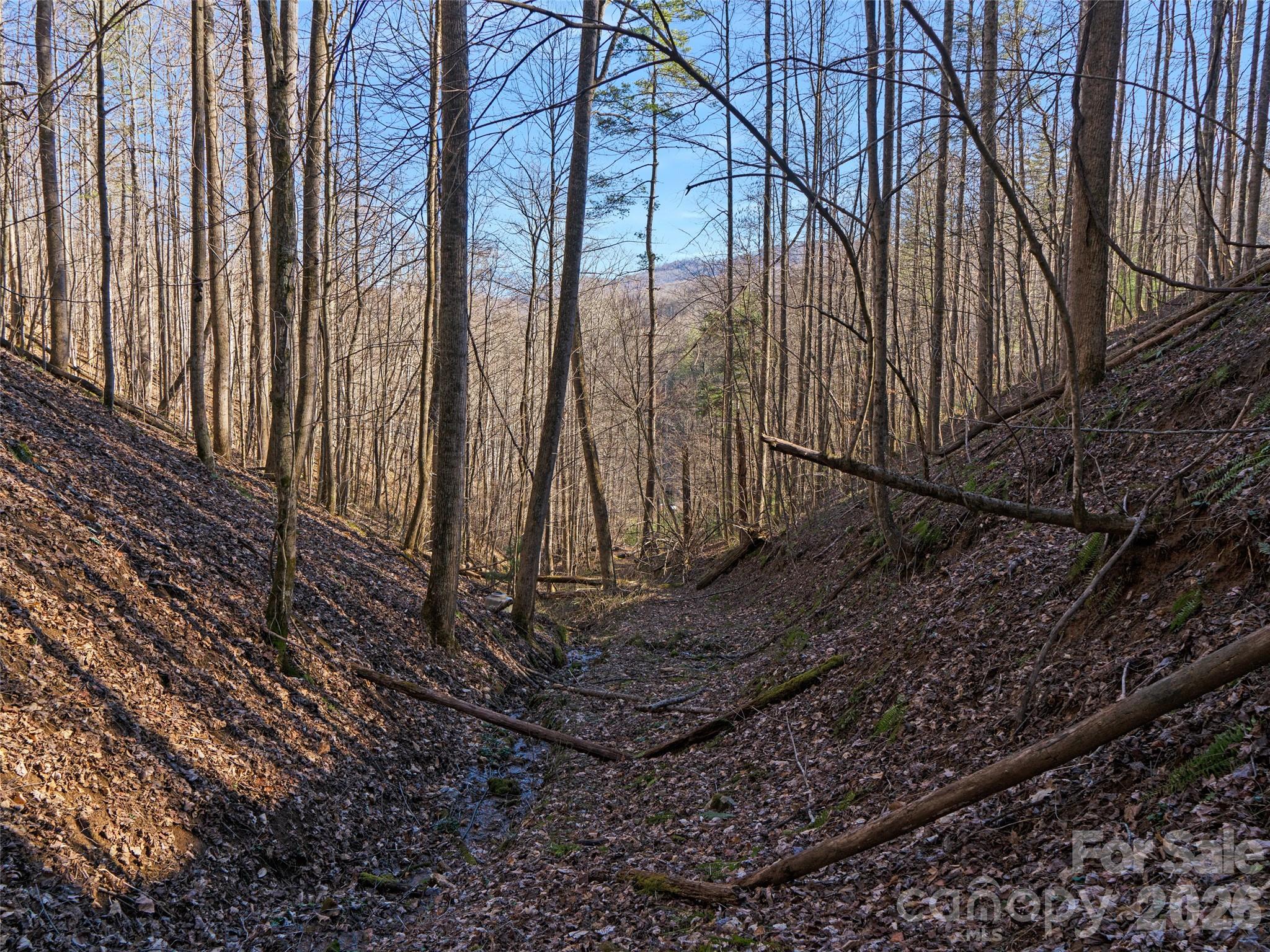 00 Lotties Creek Road