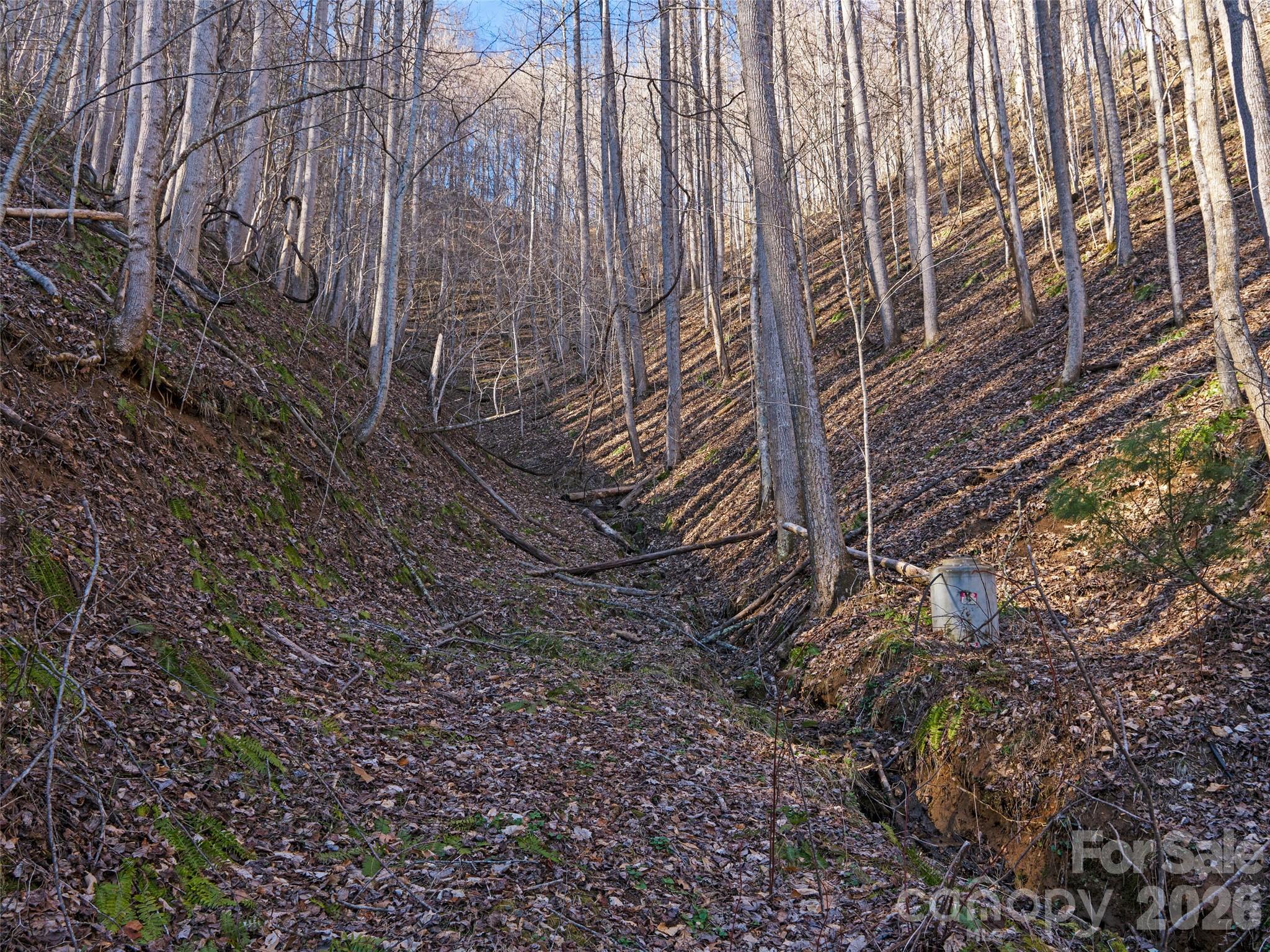00 Lotties Creek Road