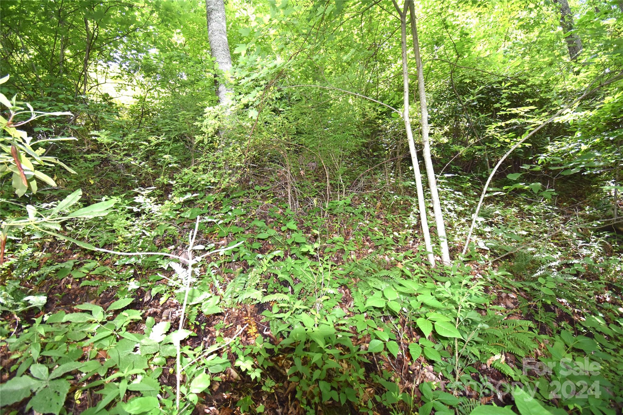 Lots 105&106 Cicada Drive