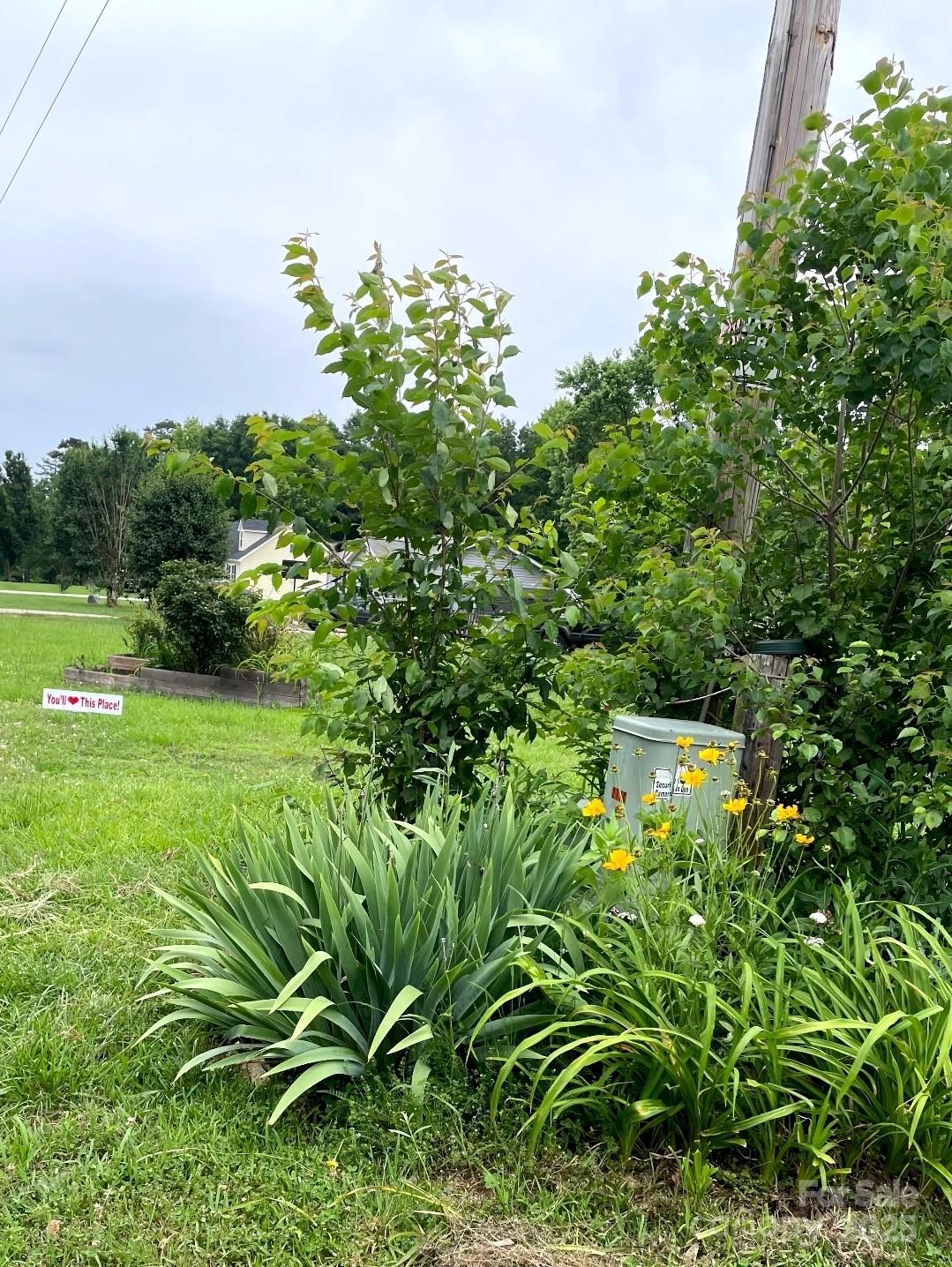 Woodgreen - Residential