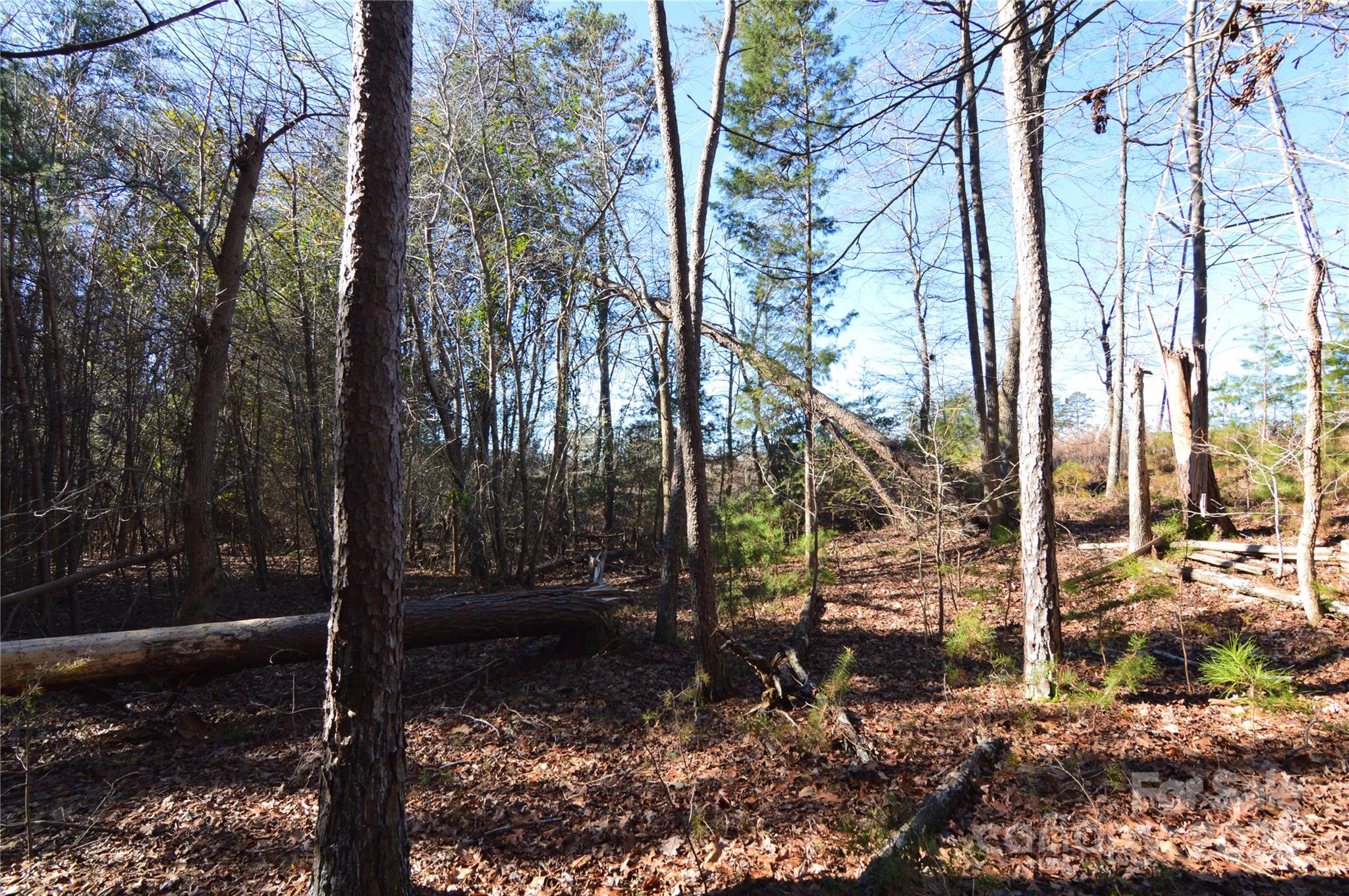 Reflection Pointe - Land