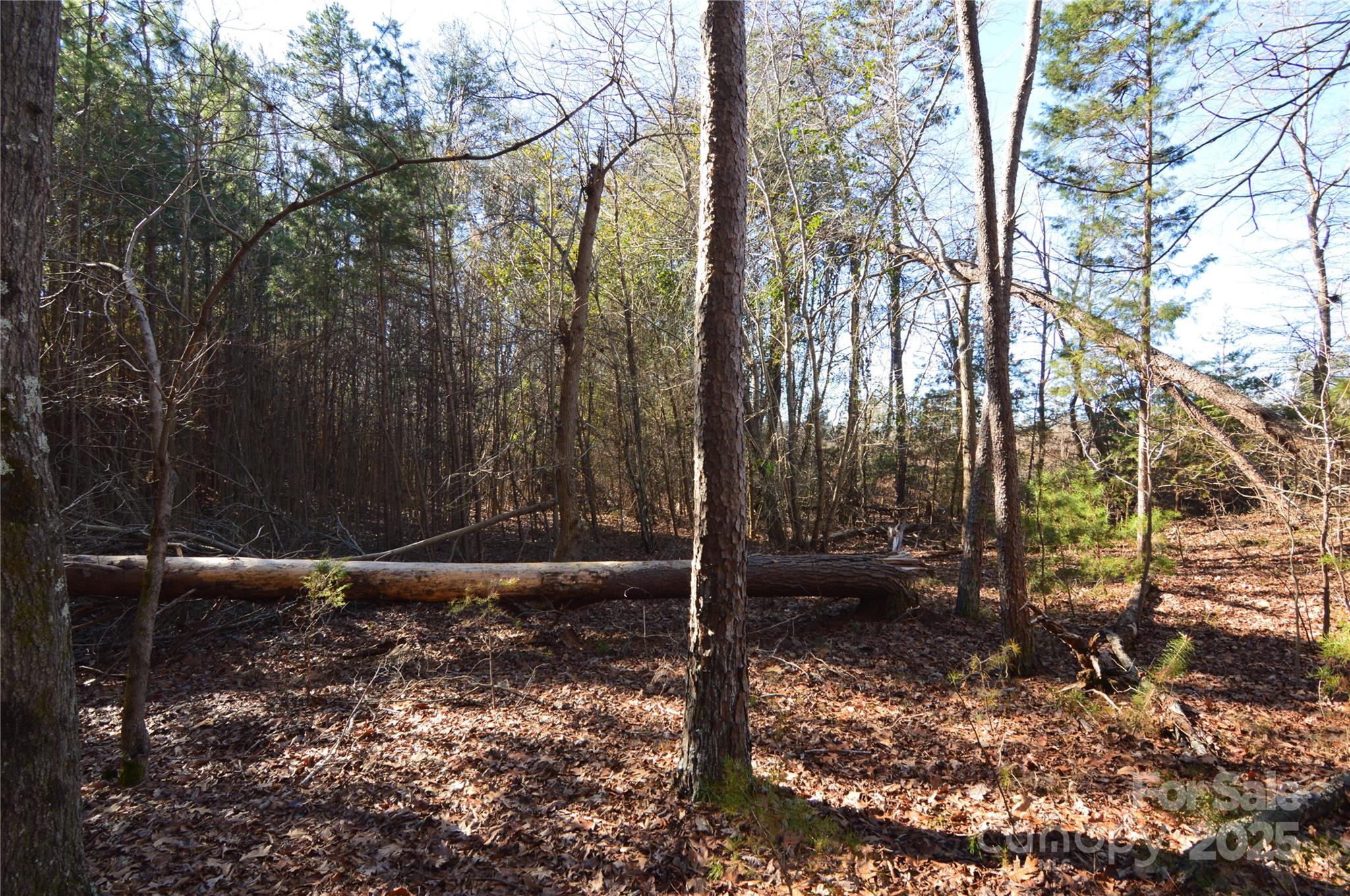 Reflection Pointe - Land