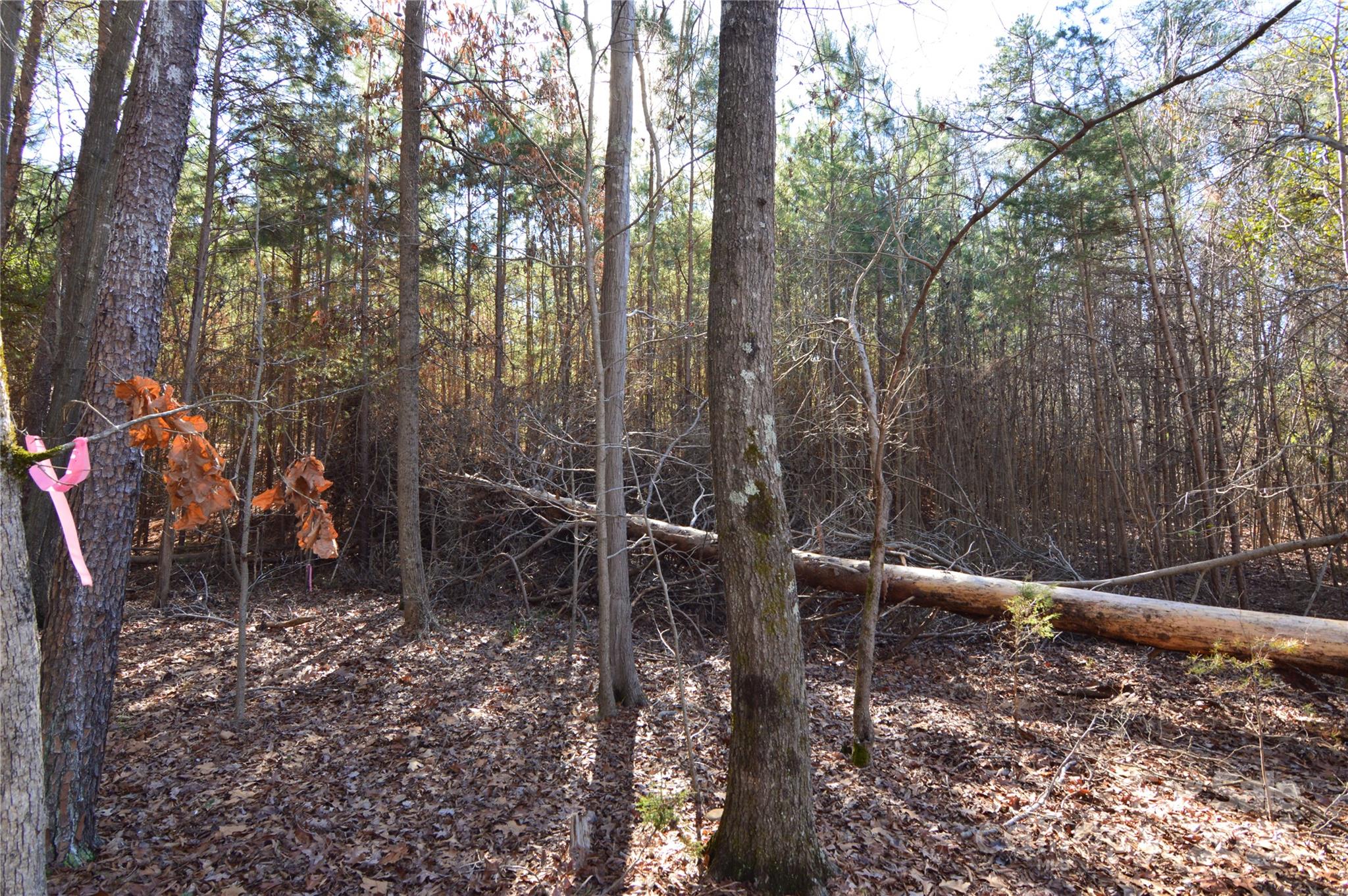 Reflection Pointe - Land