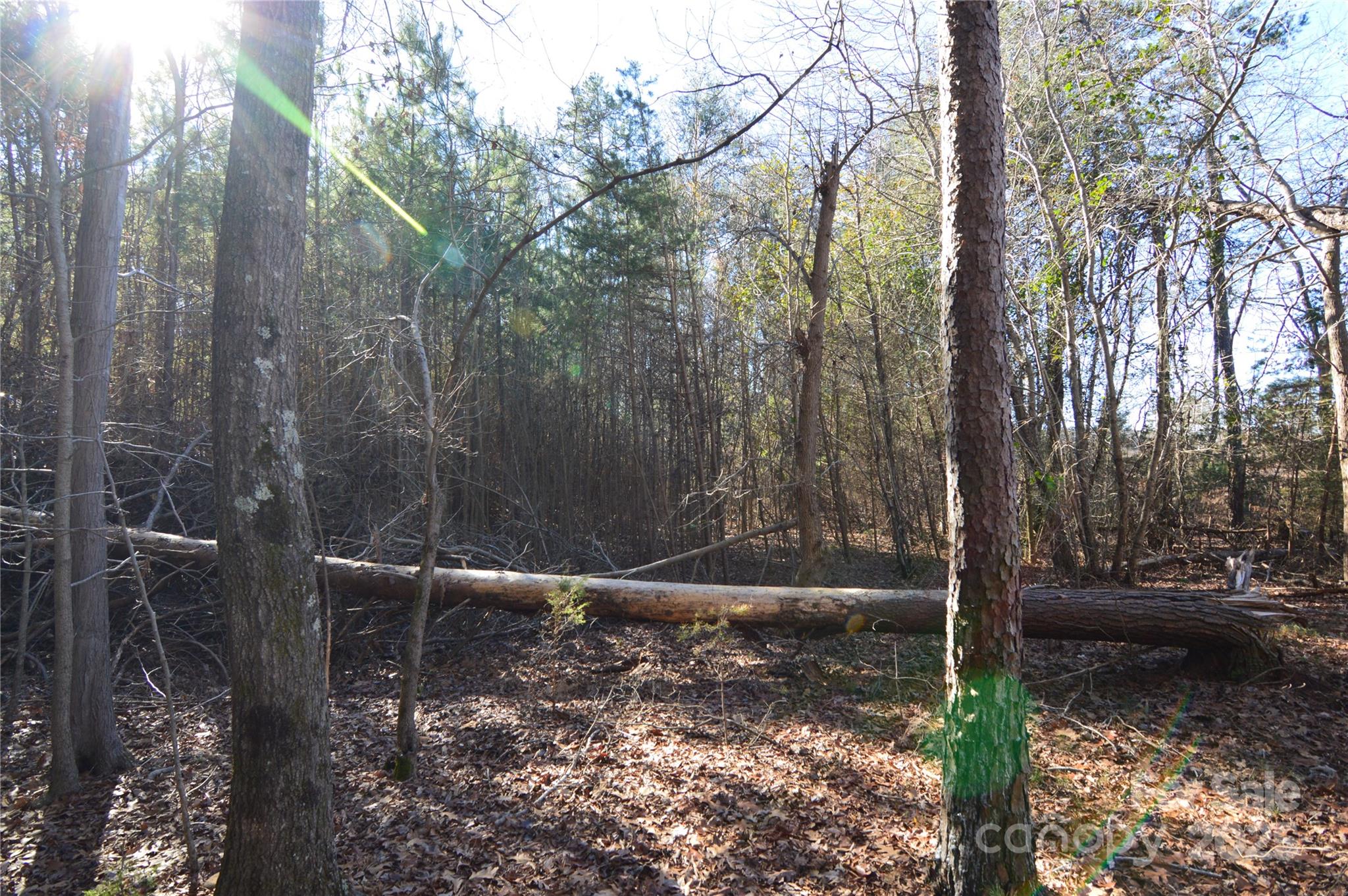 Reflection Pointe - Land