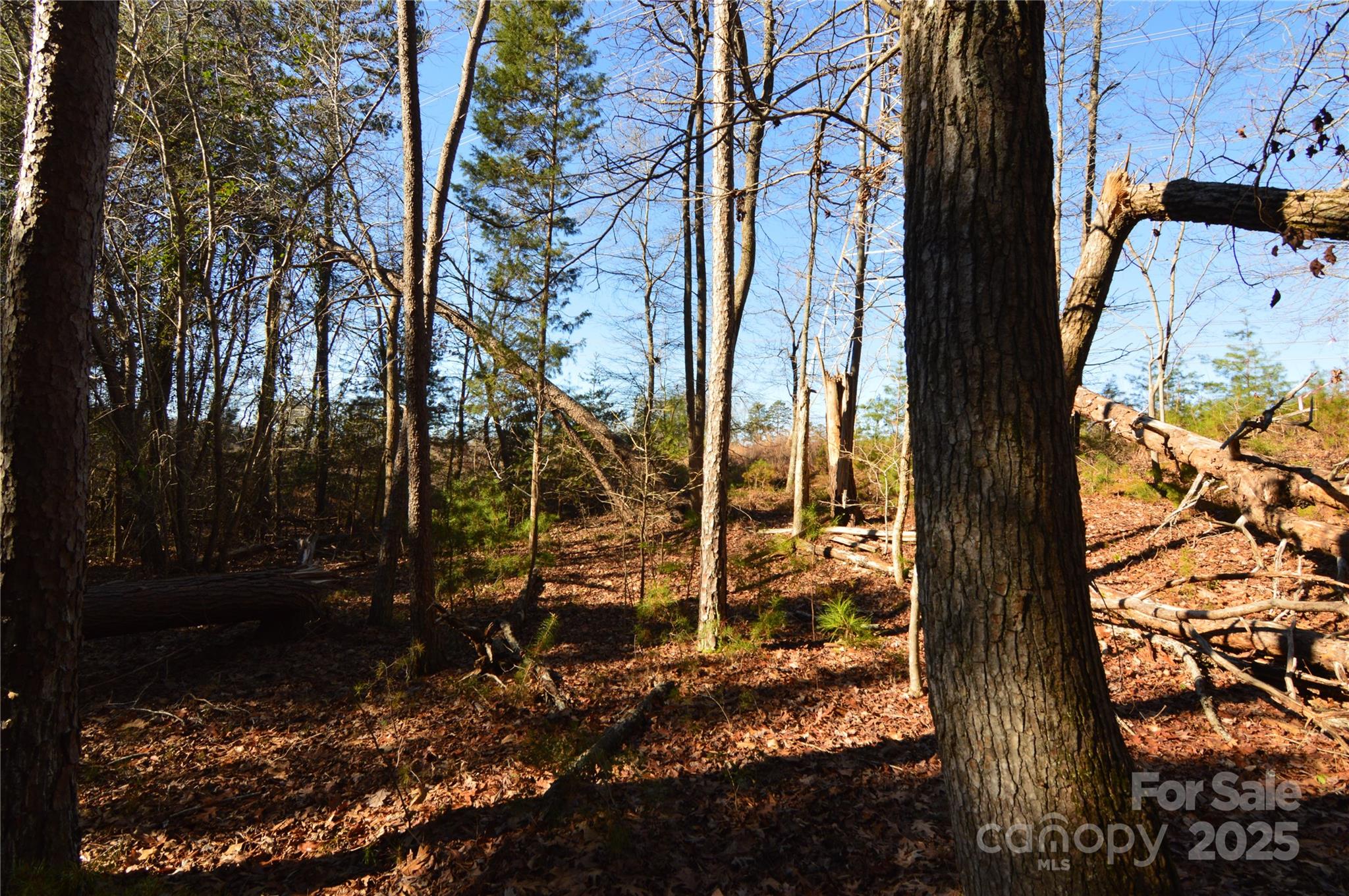 Reflection Pointe - Land