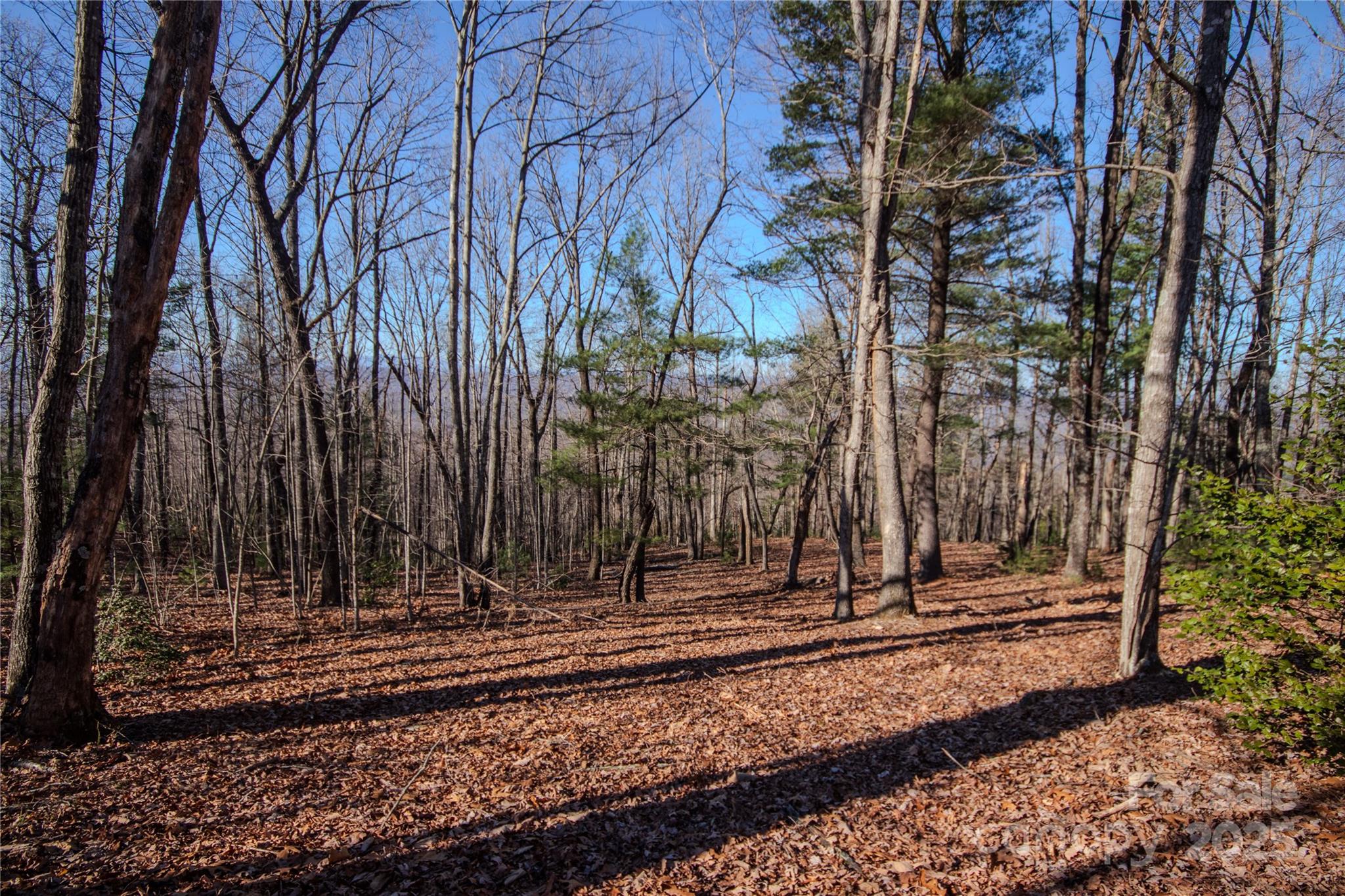 Eagle Heights - Land