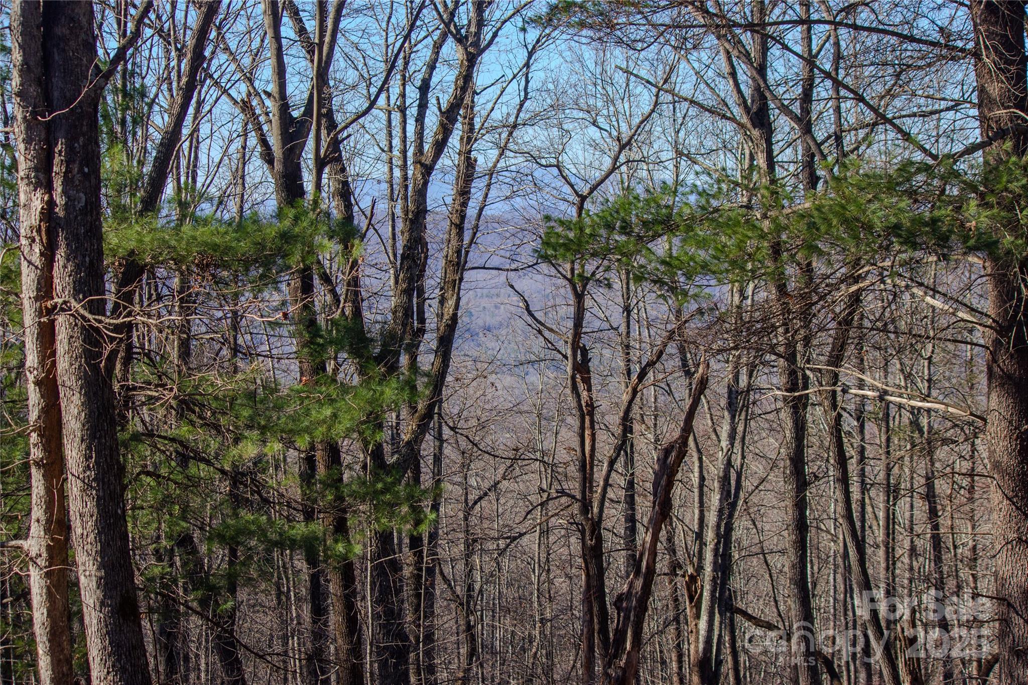 Eagle Heights - Land