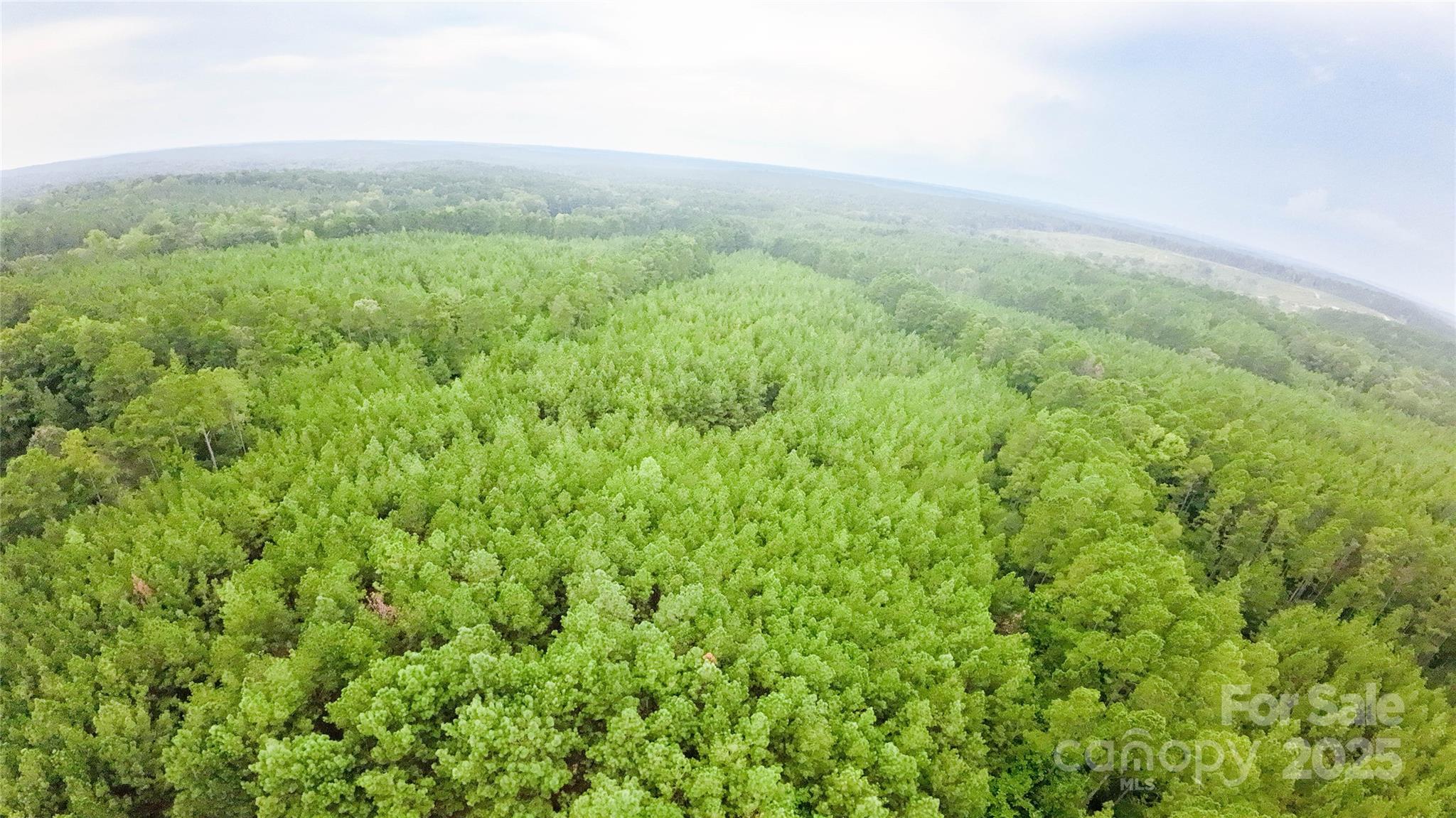 101 +/- AC Woods Ferry Road