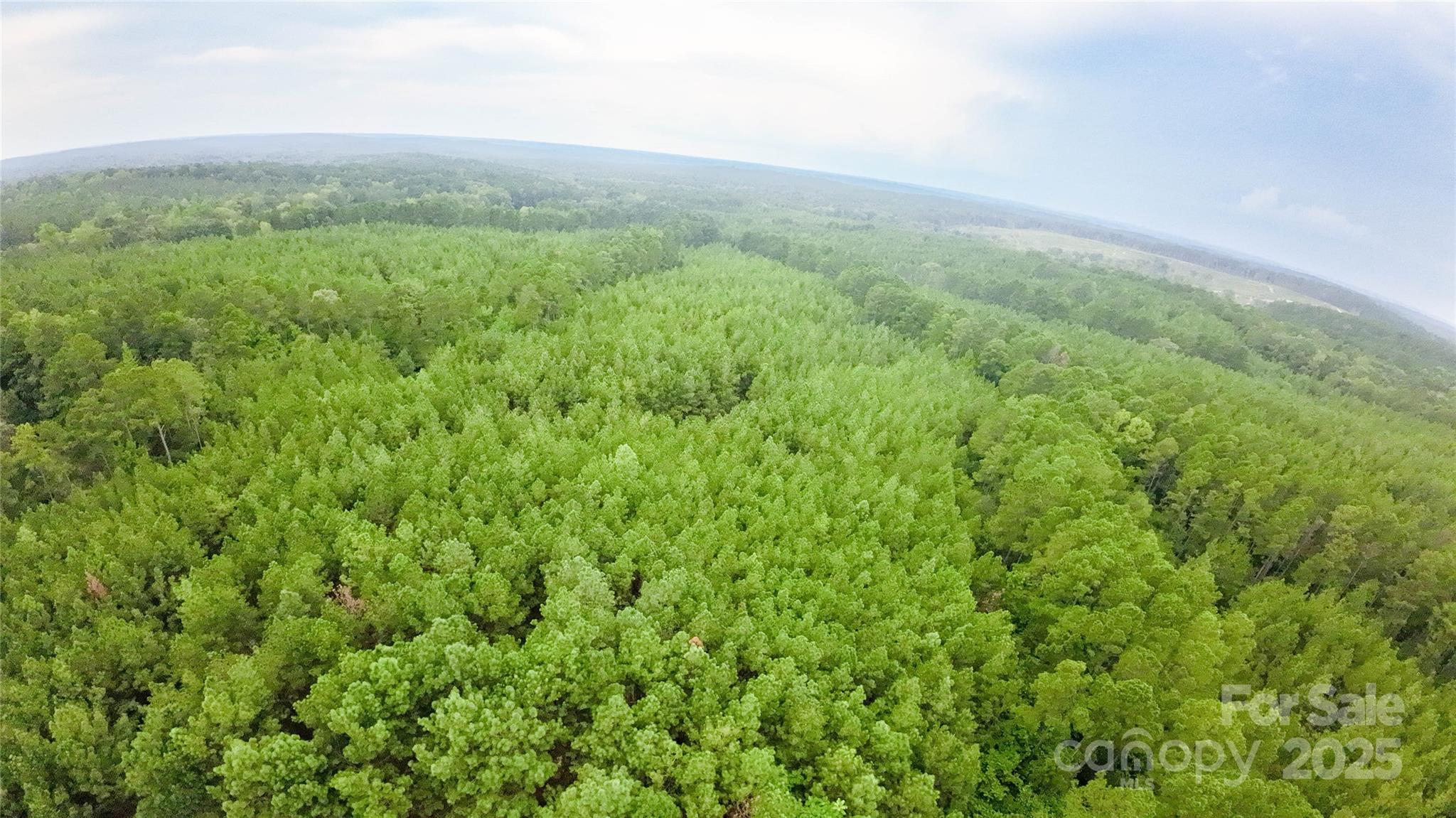 101 +/- AC Woods Ferry Road