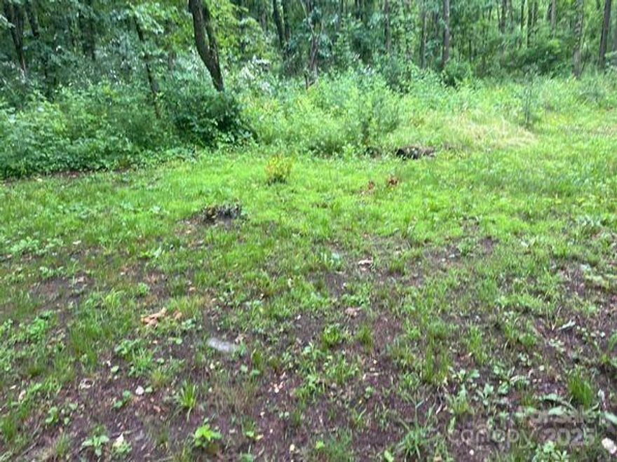 Great Opportunity in Mill Spring! This private and secluded 0.69-acre lot offers endless potential—whether you're looking to build your dream home or place a mobile home. Enjoy the peaceful surroundings and wooded setting, all while being conveniently located near local schools and just a short drive to area amenities. Don’t miss your chance to own a versatile piece of property in a growing area!