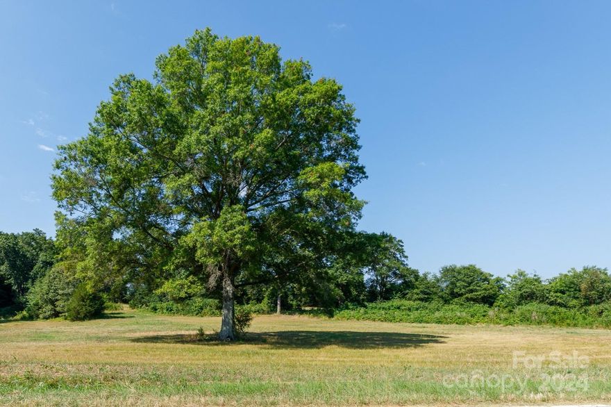 Discover the perfect spot to build your dream home on this serene 2.9-acre lot in McConnells. Nestled in the peaceful countryside, this expansive property offers plenty of space and privacy, making it an ideal location for those looking to escape the hustle and bustle. The flat, open land provides an excellent canvas for construction, whether you're envisioning a cozy farmhouse or a modern retreat. Enjoy the tranquility of rural living. This is your opportunity to create a home that fits your vision in a beautiful country setting.