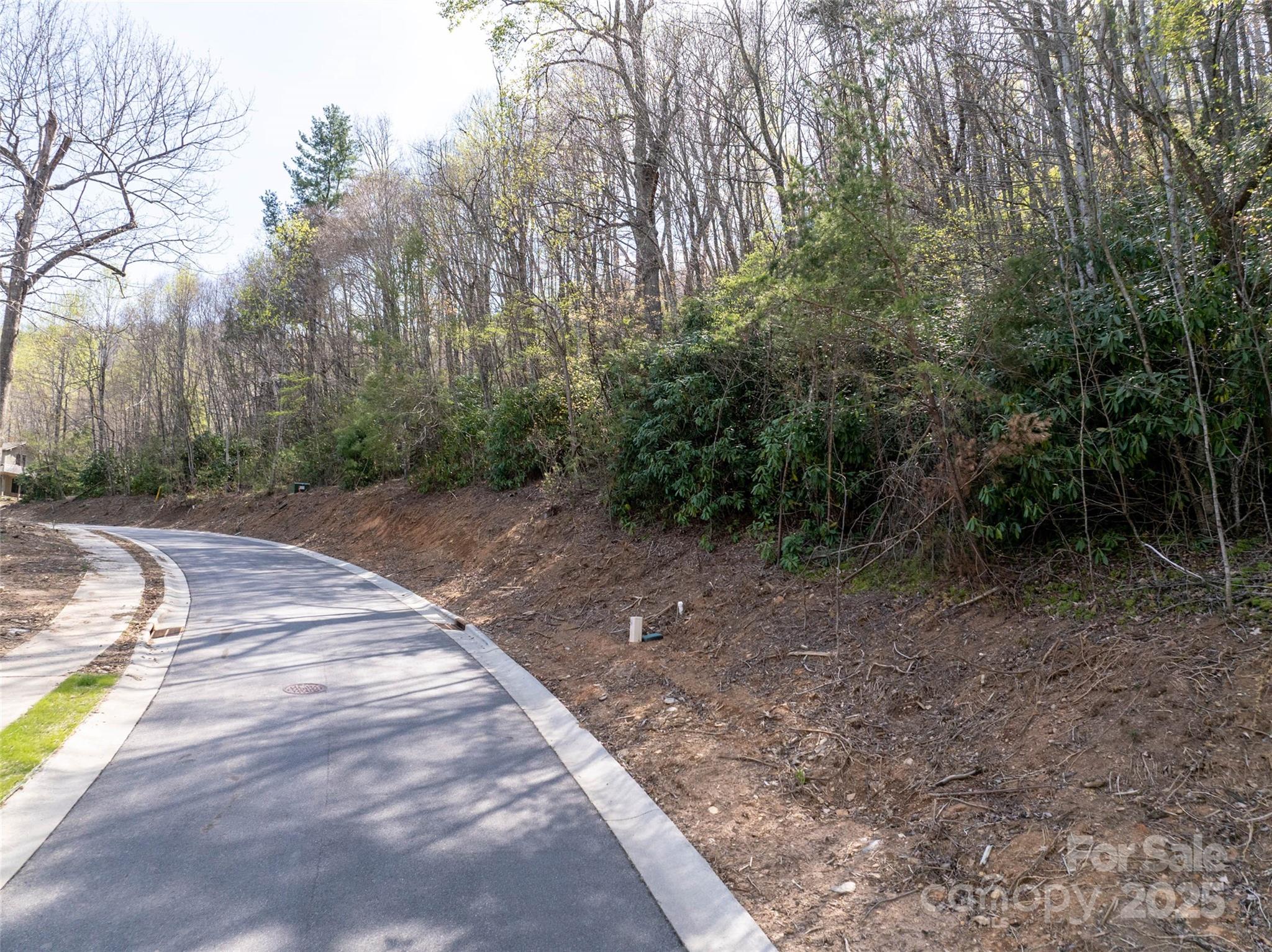 The Settings Of Black Mountain - Land