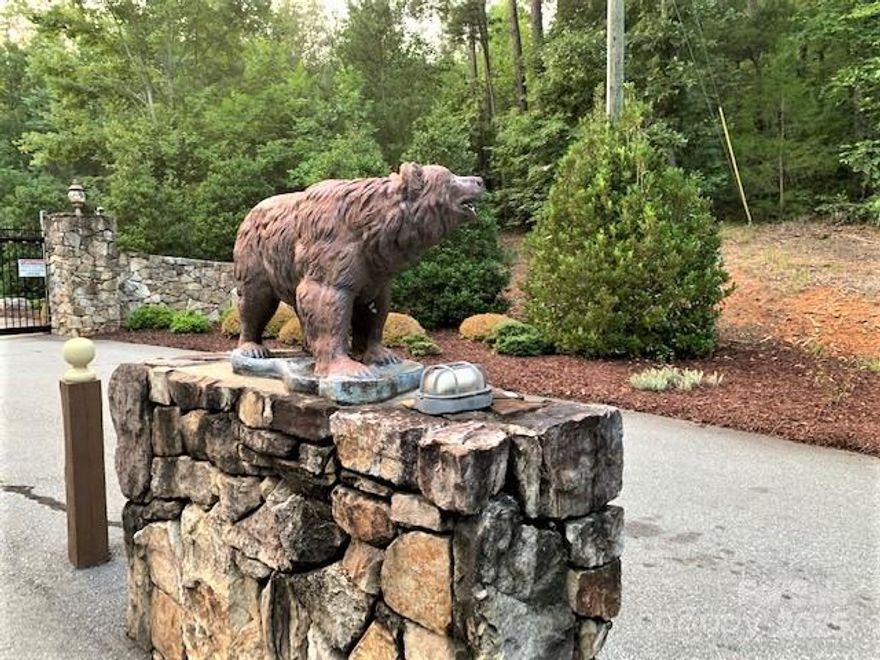 When driving through the Clearwater Creek neighborhood, you feel like you are in a wilderness within a development.  It is close to the Town of Rutherfordton and the schools, giving you the feeling of nature. Watch out for the deer crossing the roads as you drive in. They will probably stare and check you out. Enjoy a picnic gathering 
at the cute little park near the creek. Just north of town, you can easily drive to Interstate 40 and travel North Carolina. The lot is " Creekside" so there is a partial flood zone on the back of the lot.