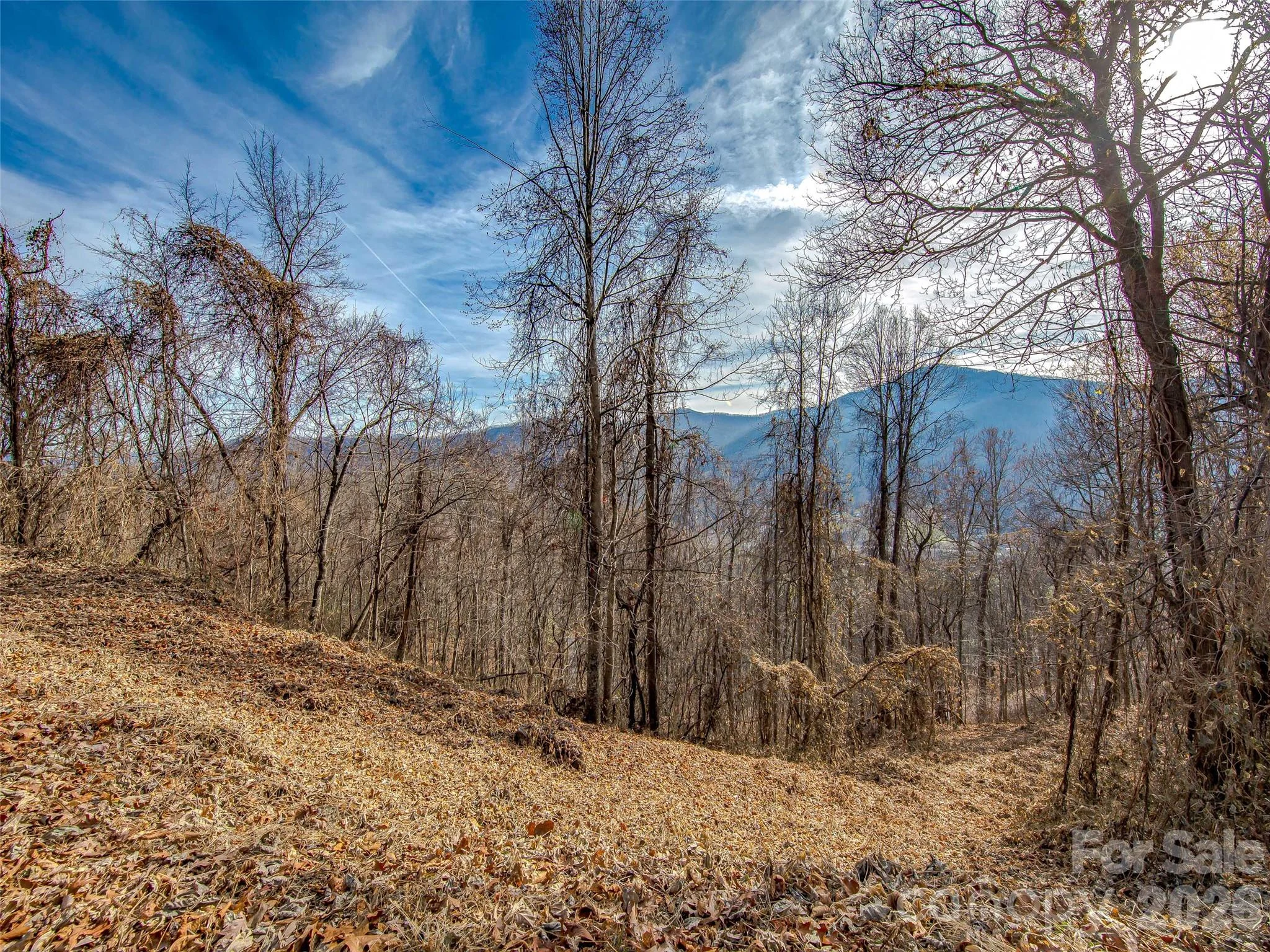 39 Grandview Cliff Heights, Maggie Valley, NC, 28751