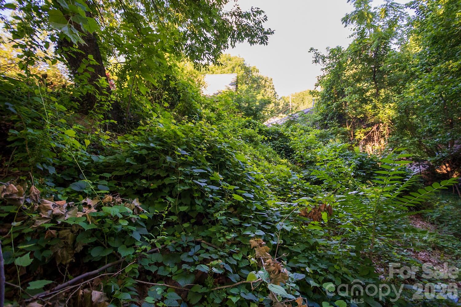 99999 Clingman Avenue