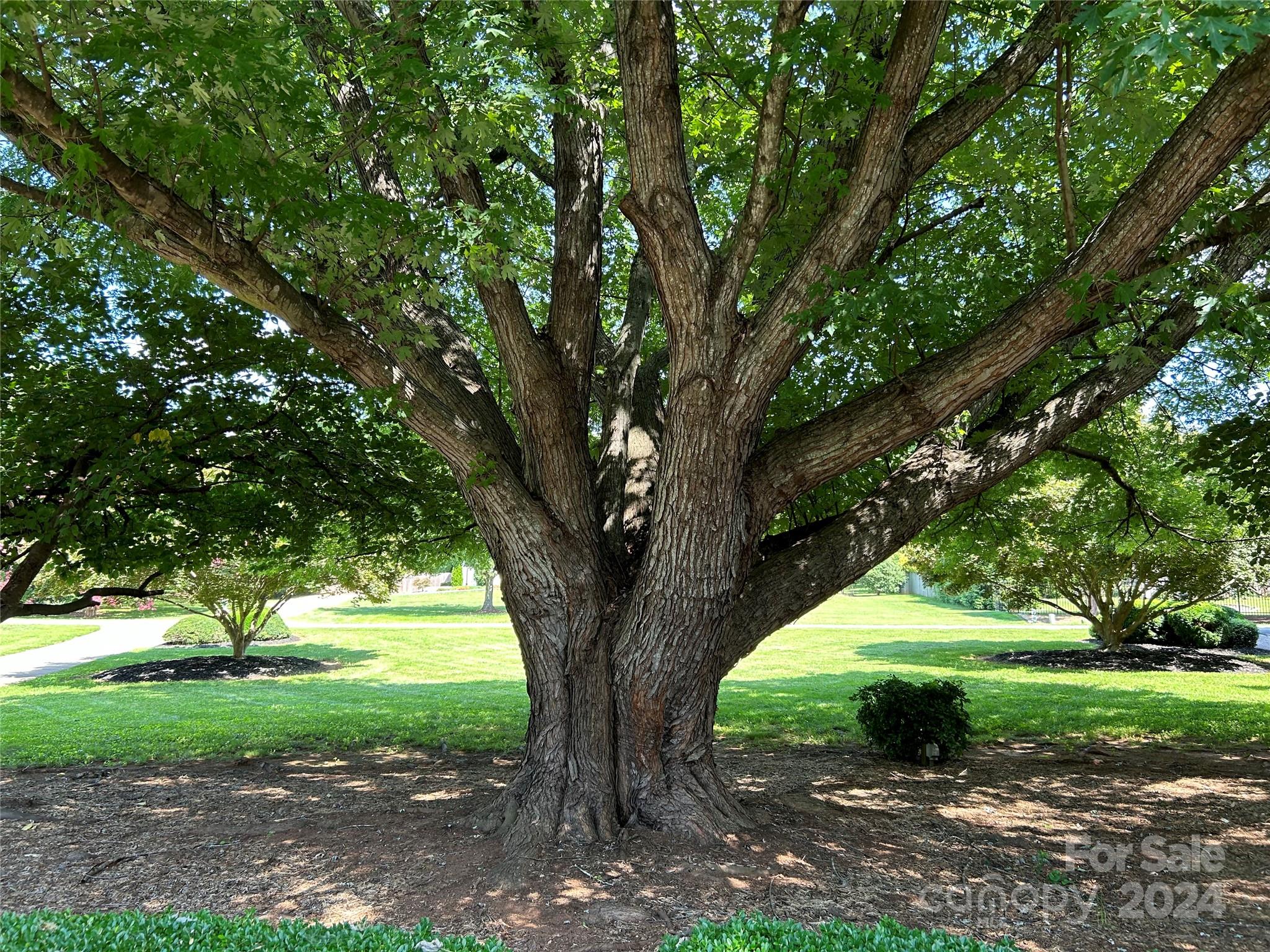 Spring Run - Residential