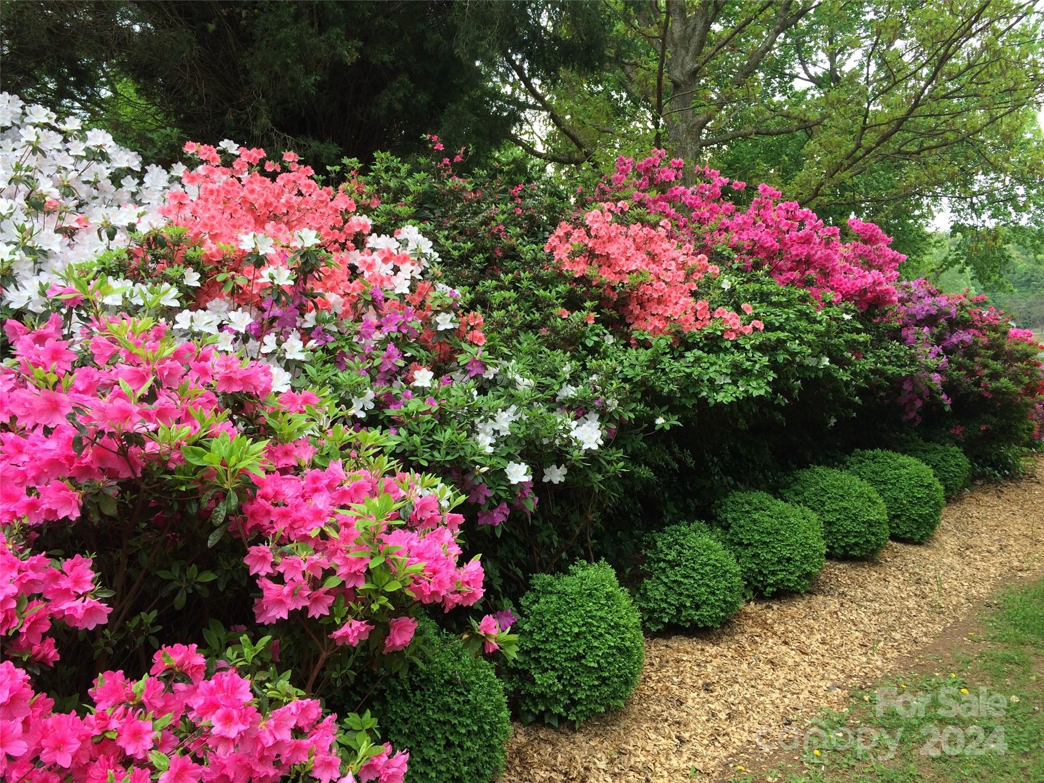 Spring Run - Residential