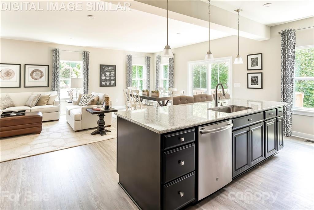 The Mills at Rocky River - Residential