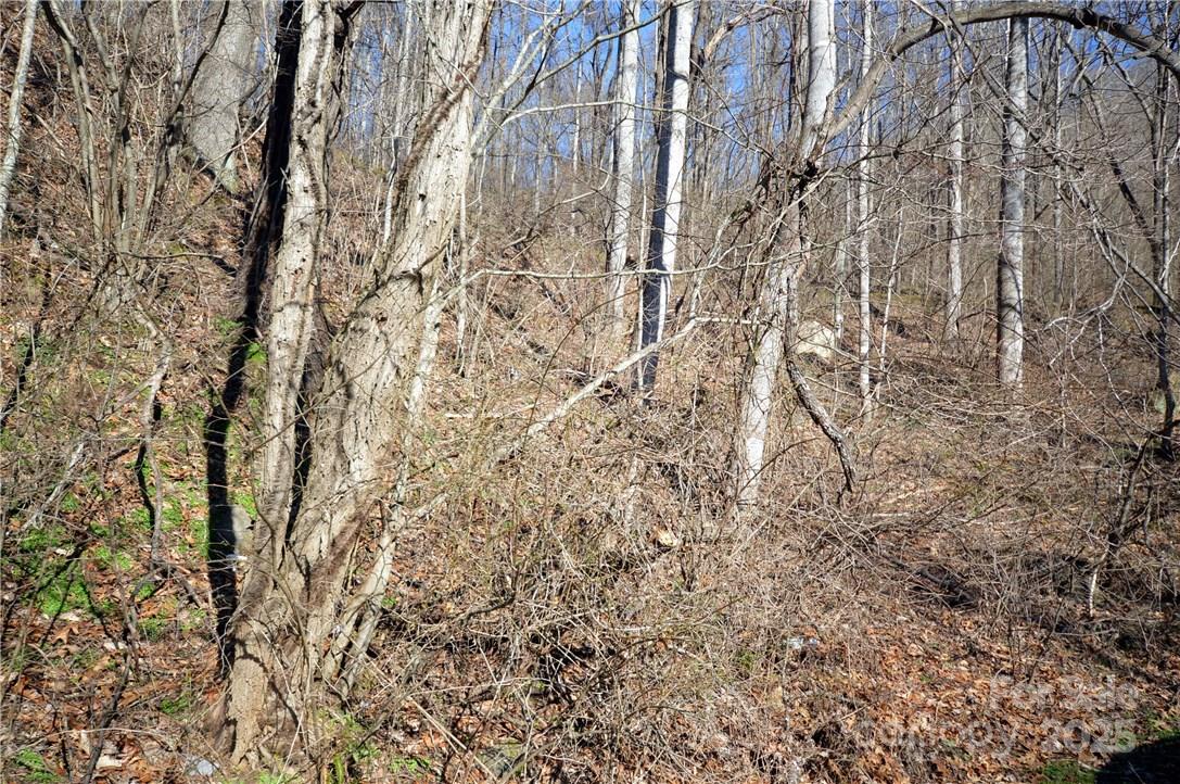 Utah Mountain Estates - Land