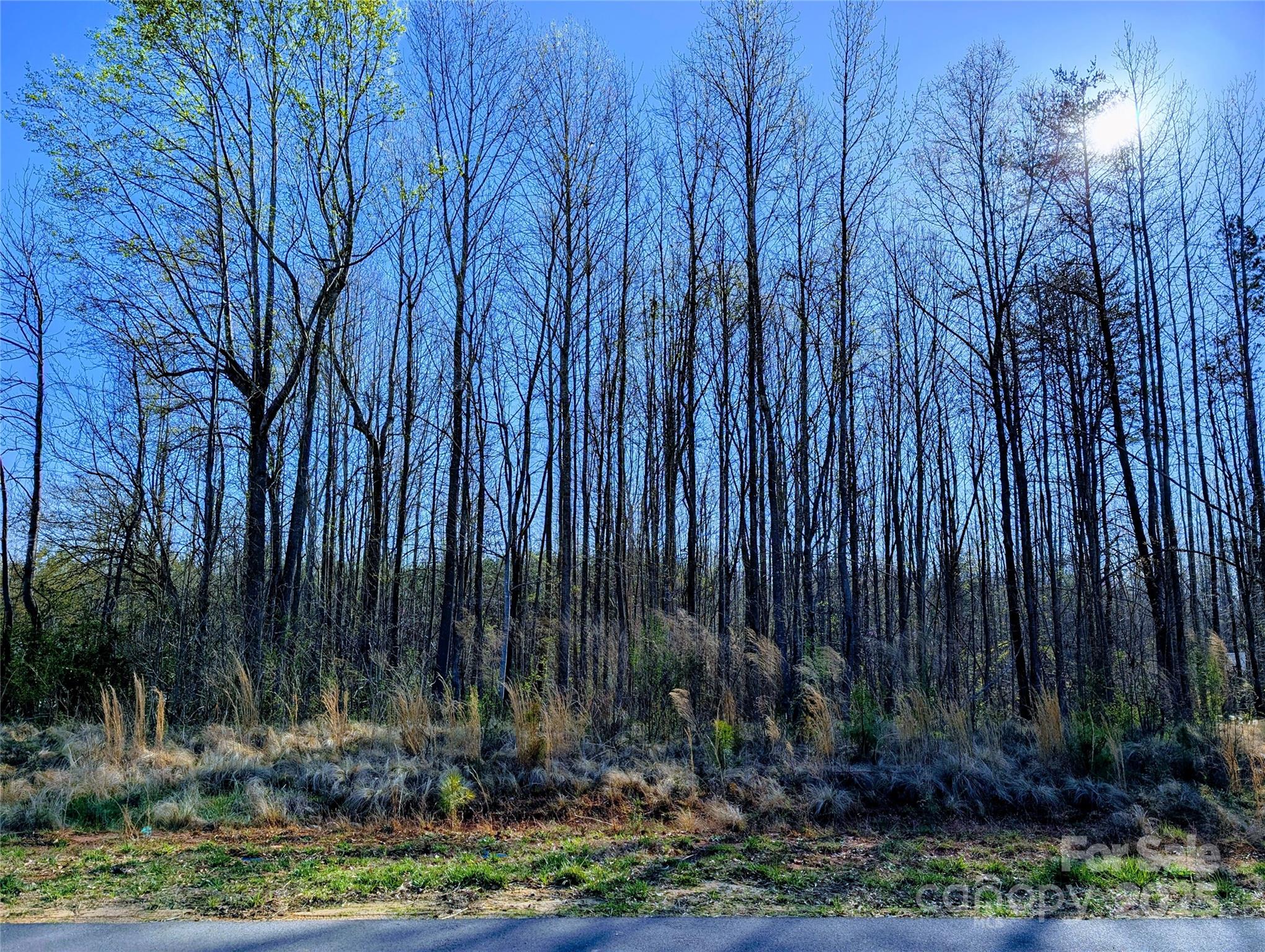 4255 Brandy Creek Court