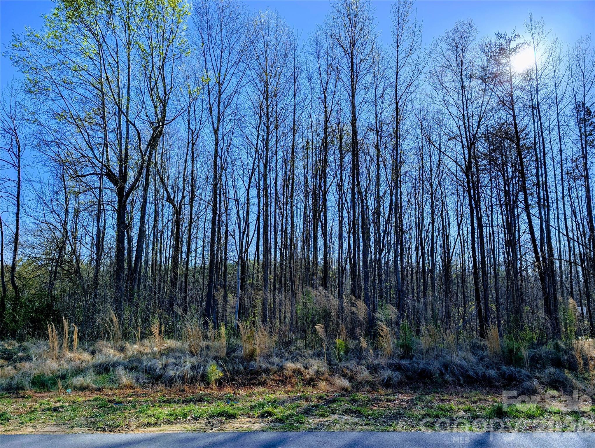 4255 Brandy Creek Court