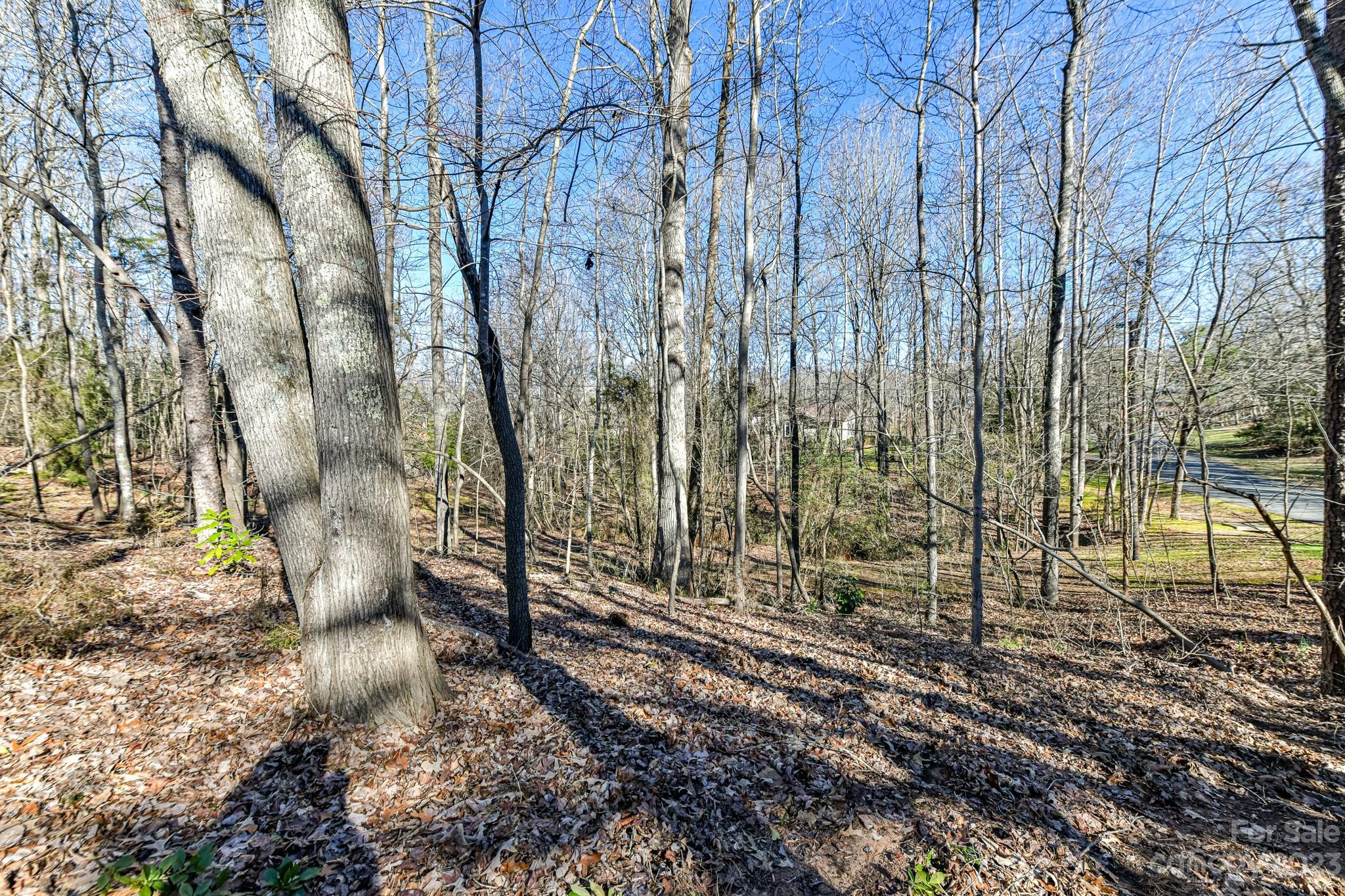 Providence Ridge - Residential