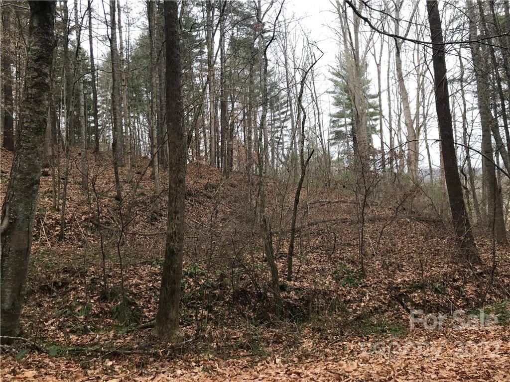 27 Eller Hollow Road