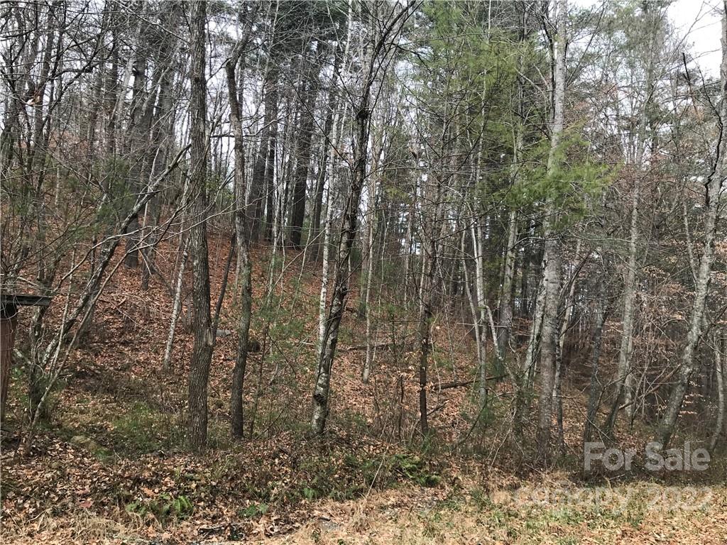 27 Eller Hollow Road