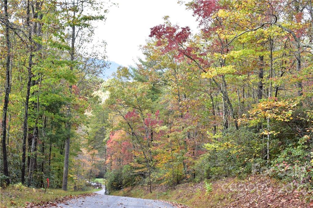 Gateway Mountain - Land