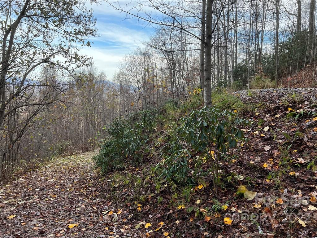 Gateway Mountain - Land