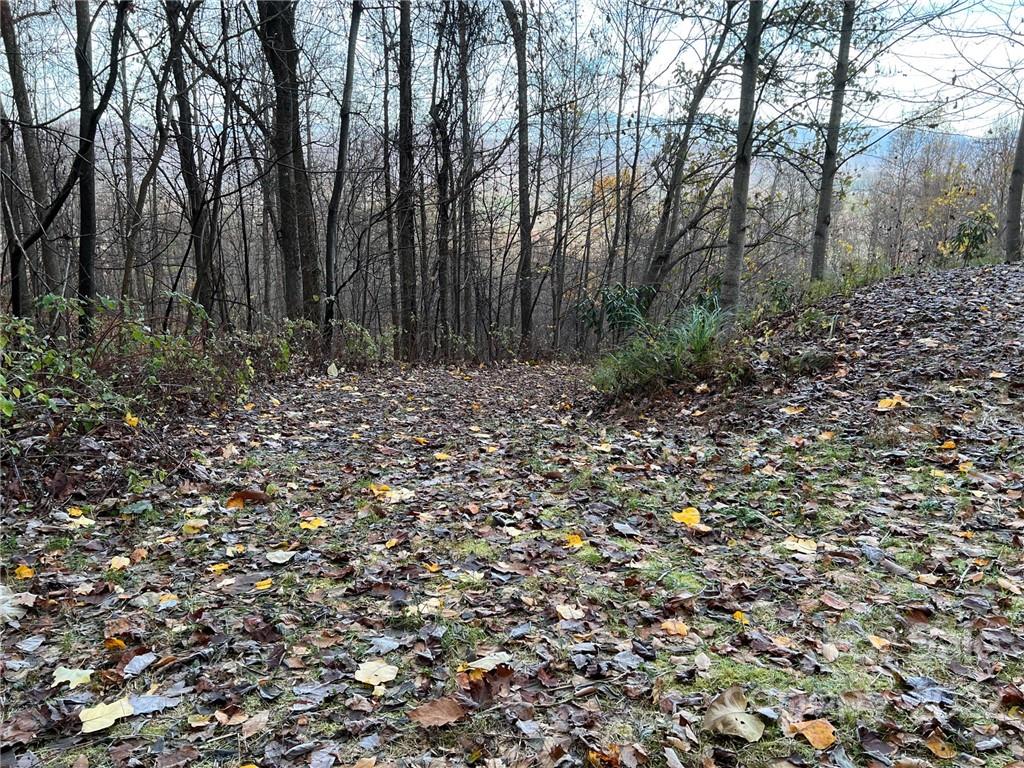 Gateway Mountain - Land